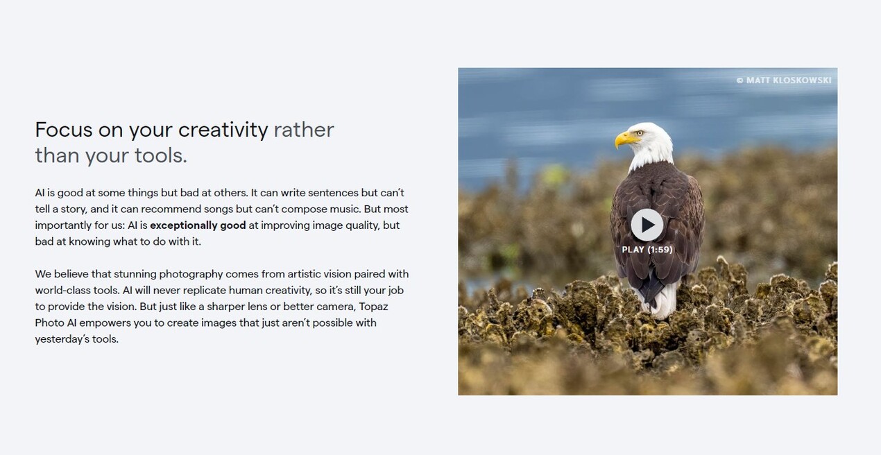 Topaz Photo AI gallery image