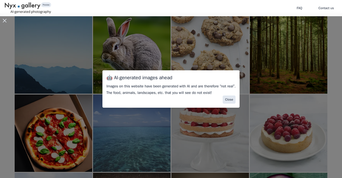 Nyx Gallery gallery image