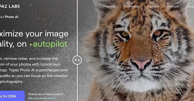 Topaz Photo AI gallery image