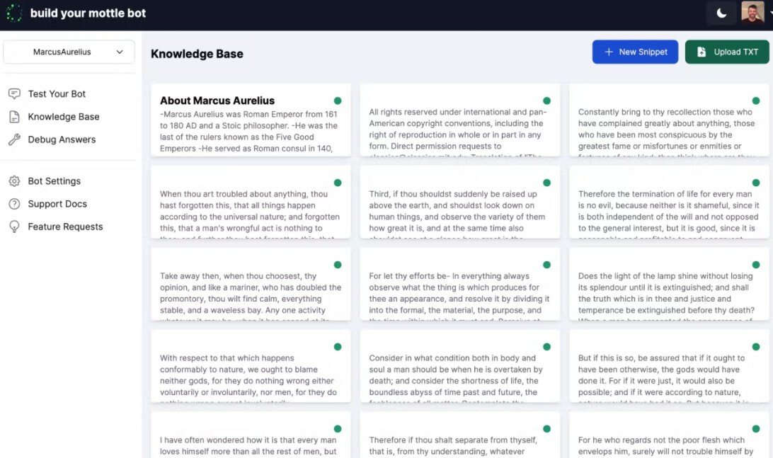 Mottle Bot gallery image