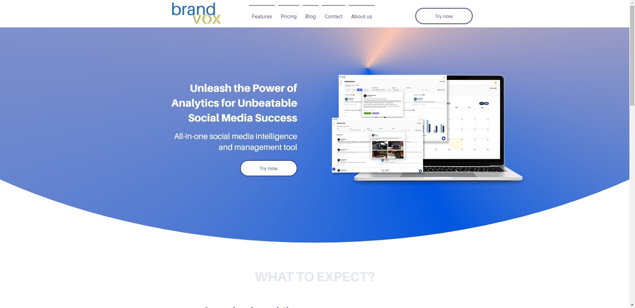 BrandVox gallery image