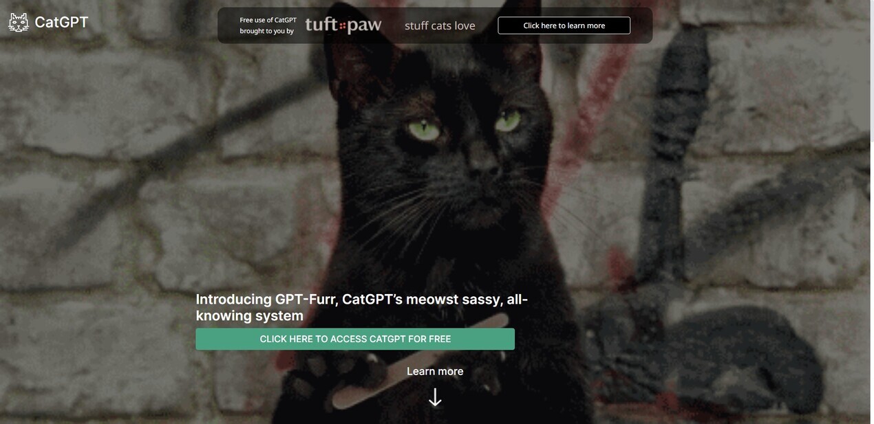 CatGPT gallery image