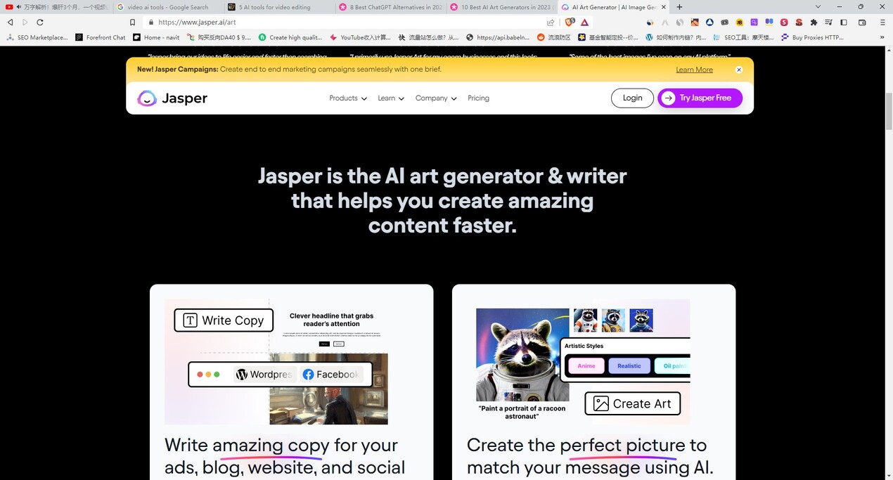 Jasper Art gallery image