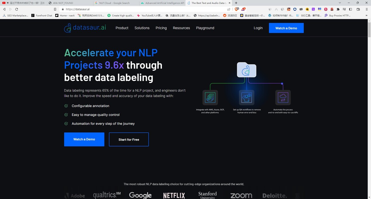 Datasaur.ai gallery image