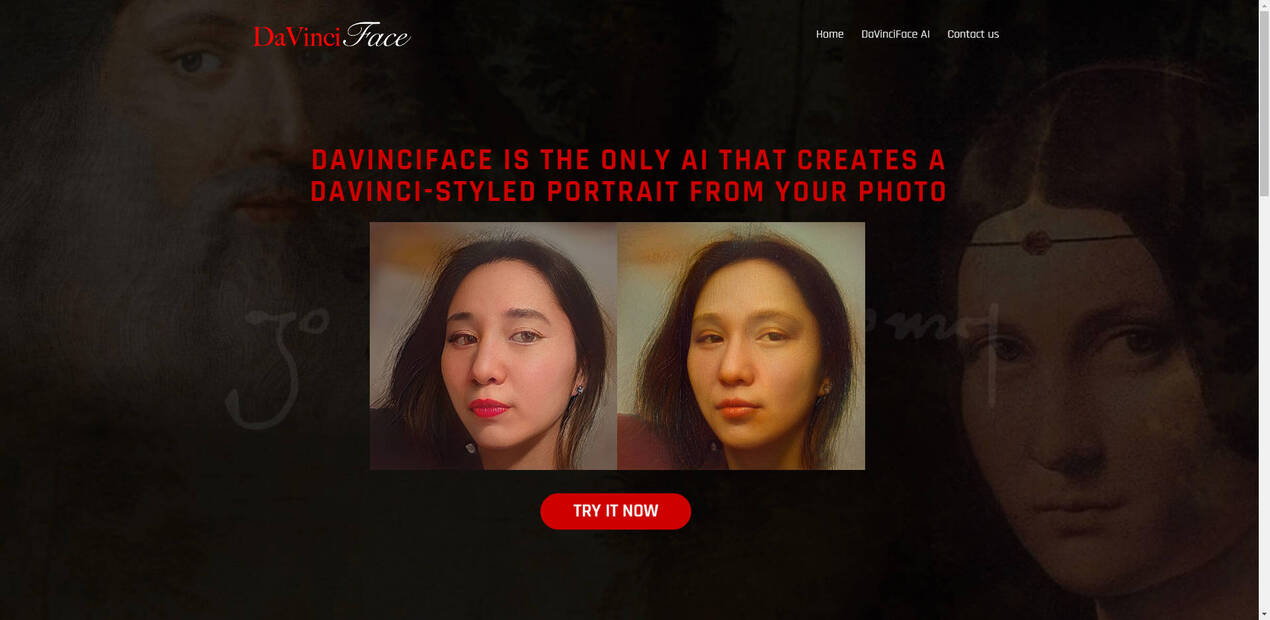 DaVinciFace gallery image