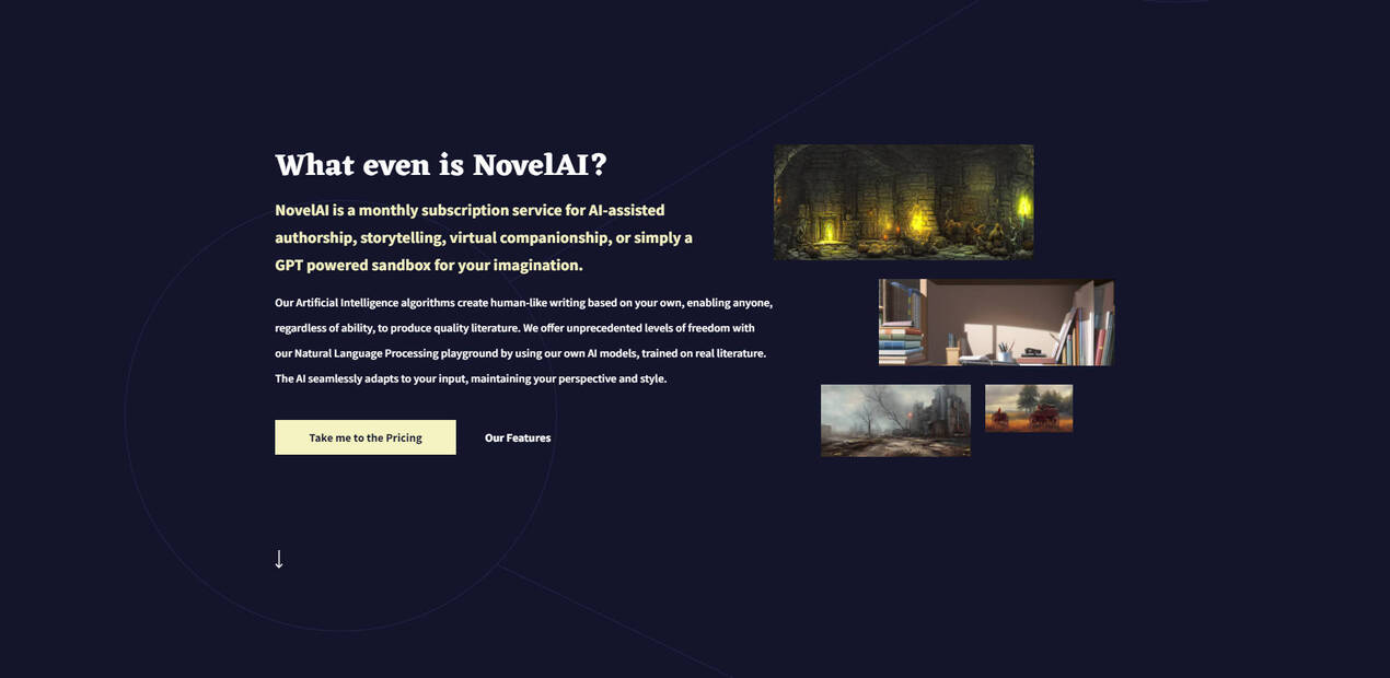 Novel AI gallery image