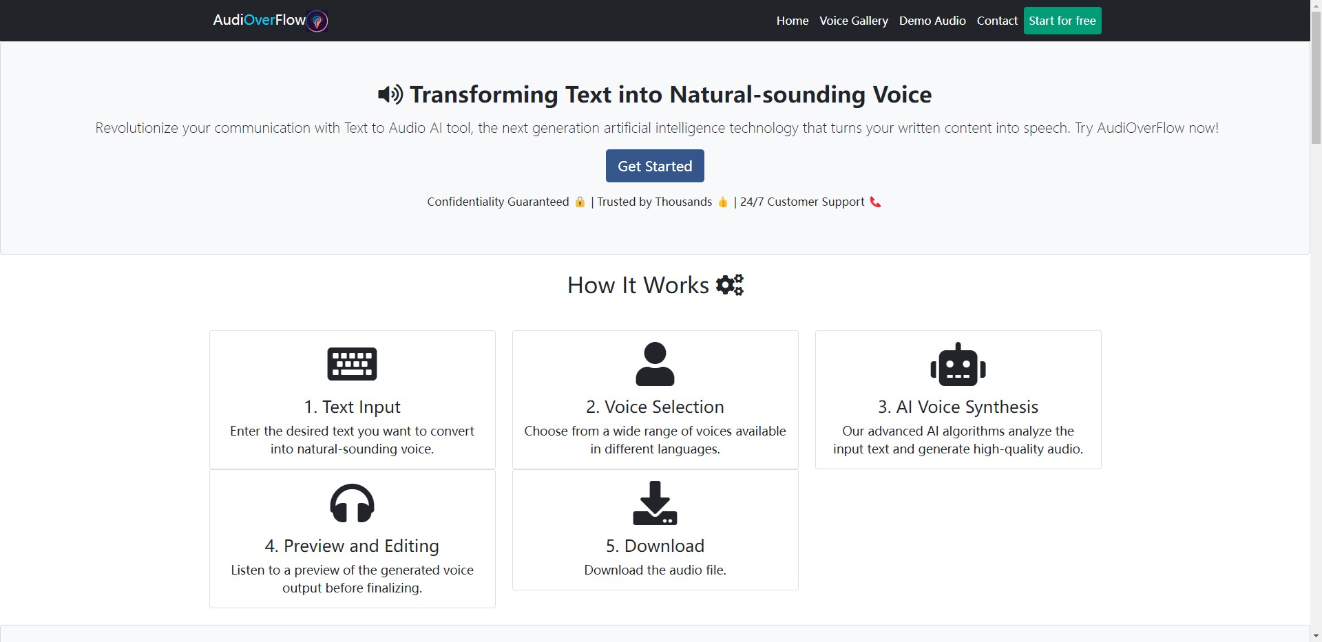 AudiOverFlow gallery image