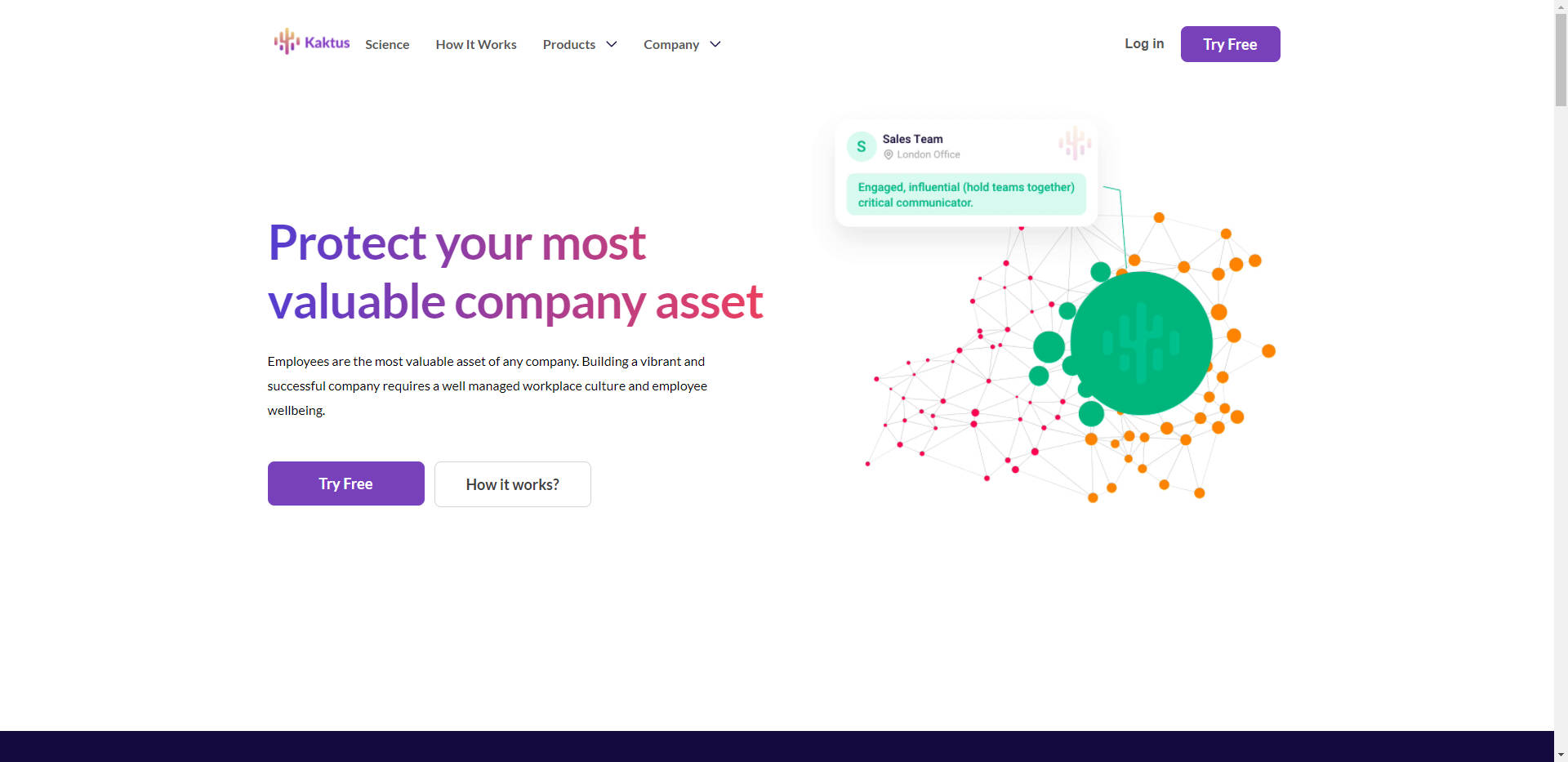 Kaktus AI gallery image