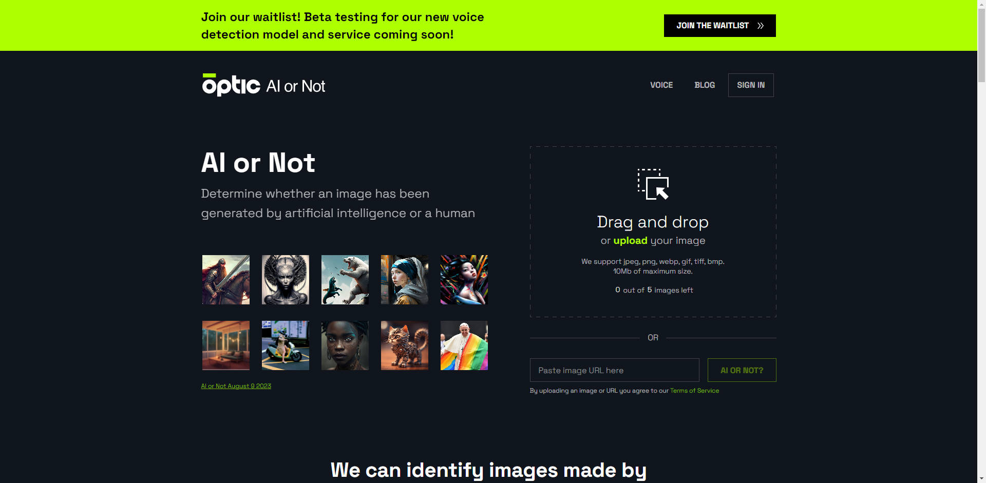 AI or Not gallery image