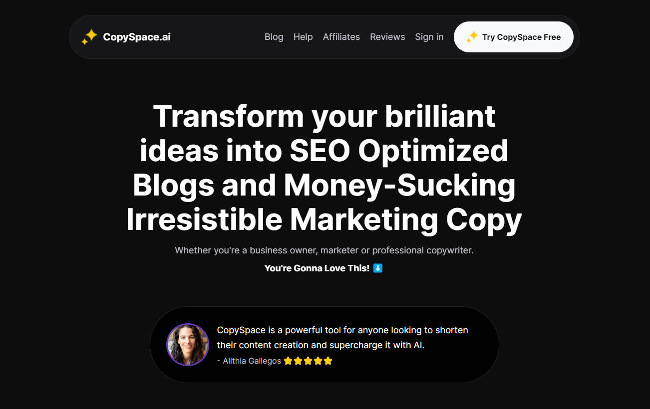 CopySpace.ai gallery image