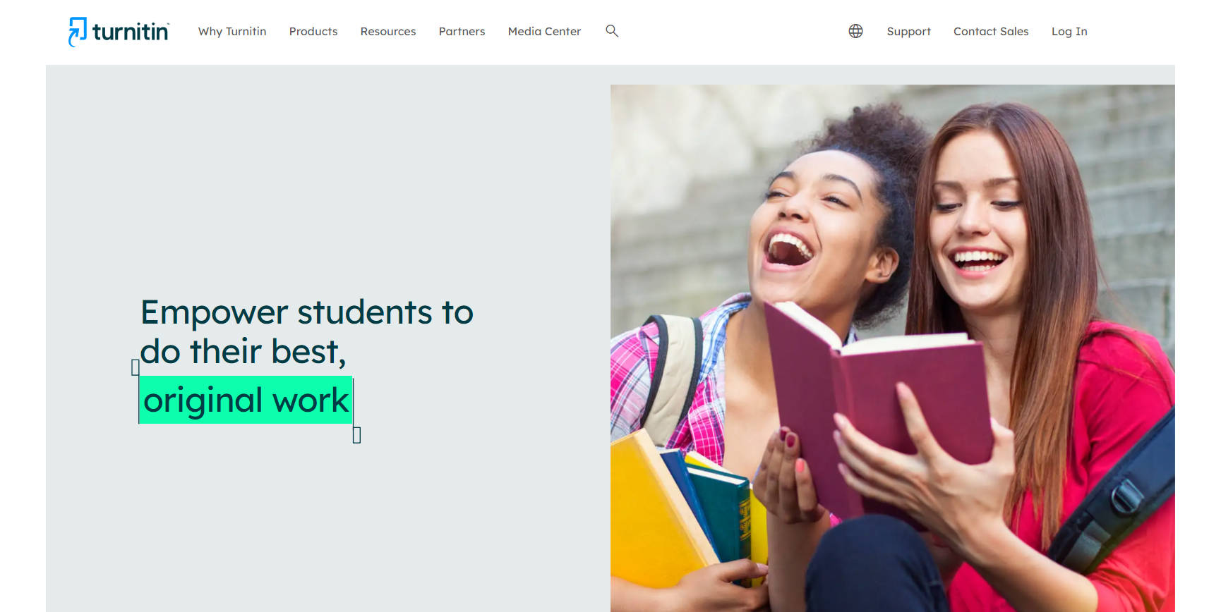 Turnitin gallery image