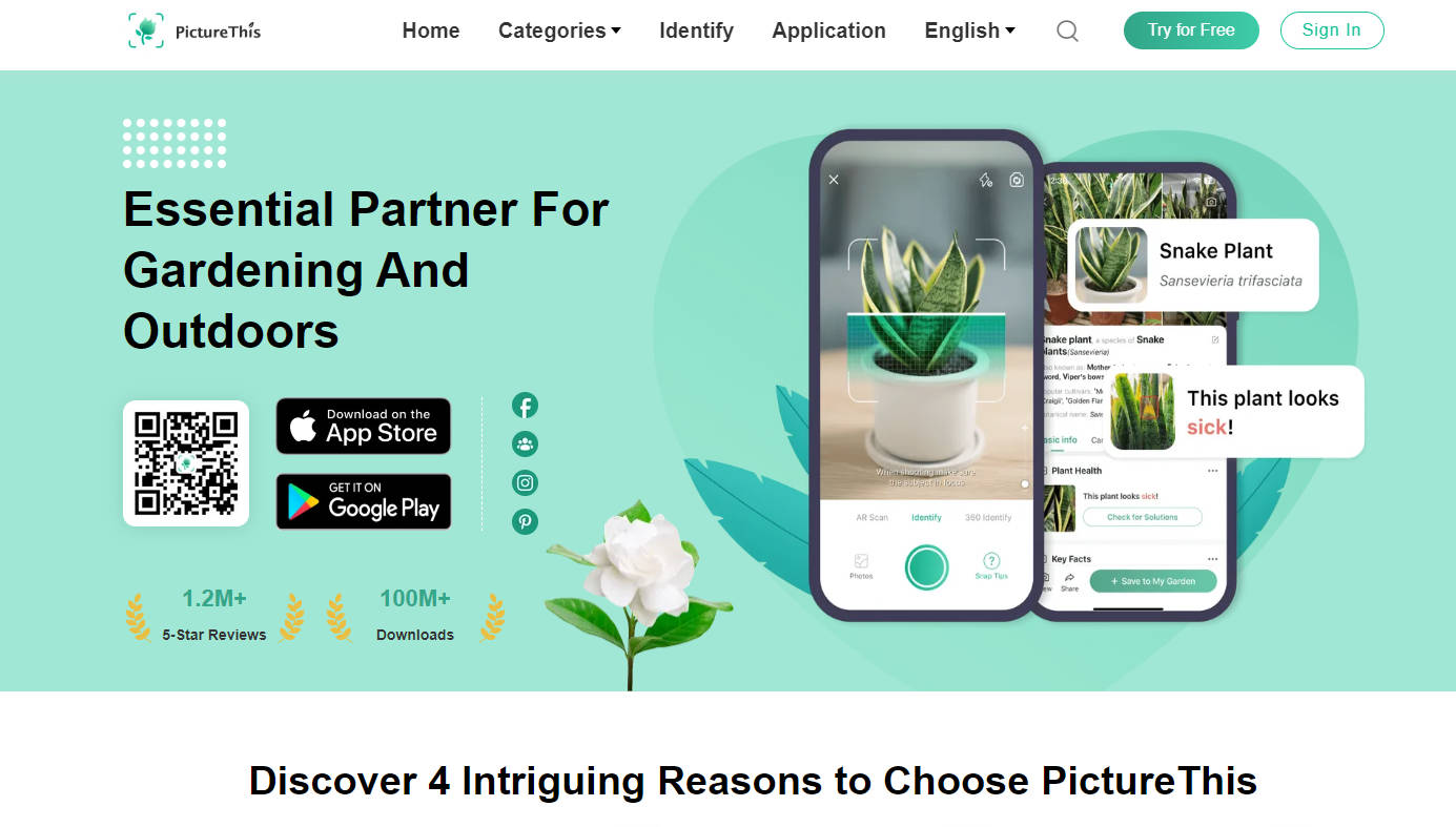 PictureThis gallery image