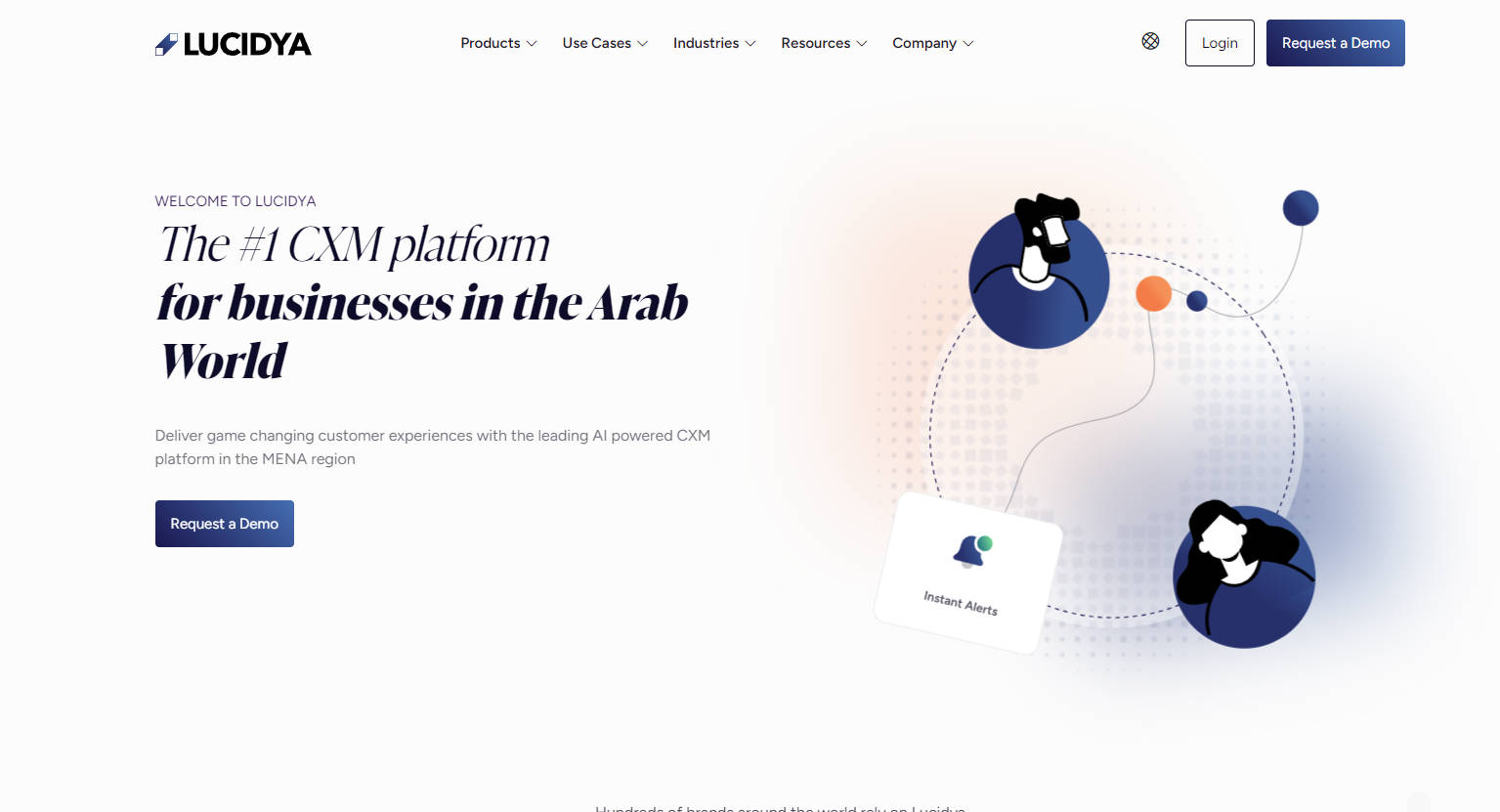 Lucidya gallery image