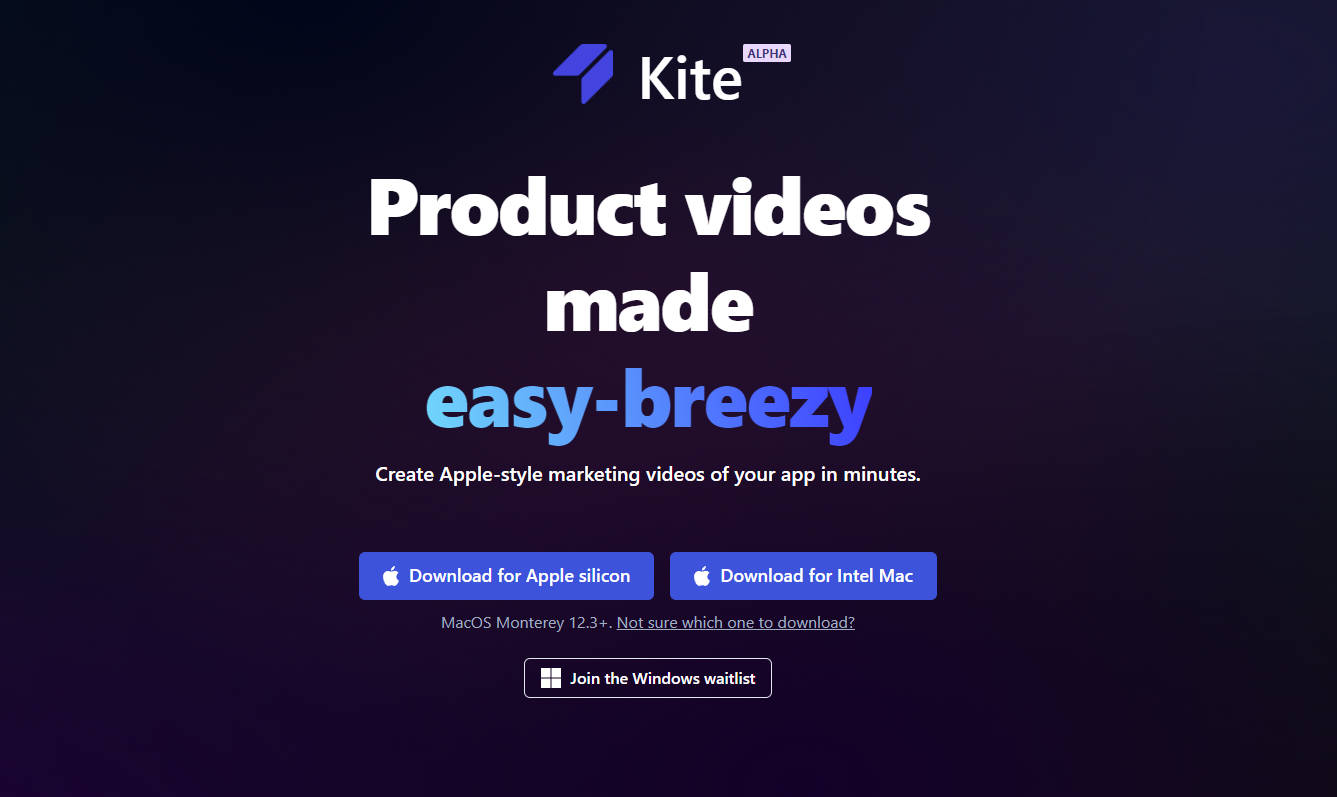 Kite gallery image