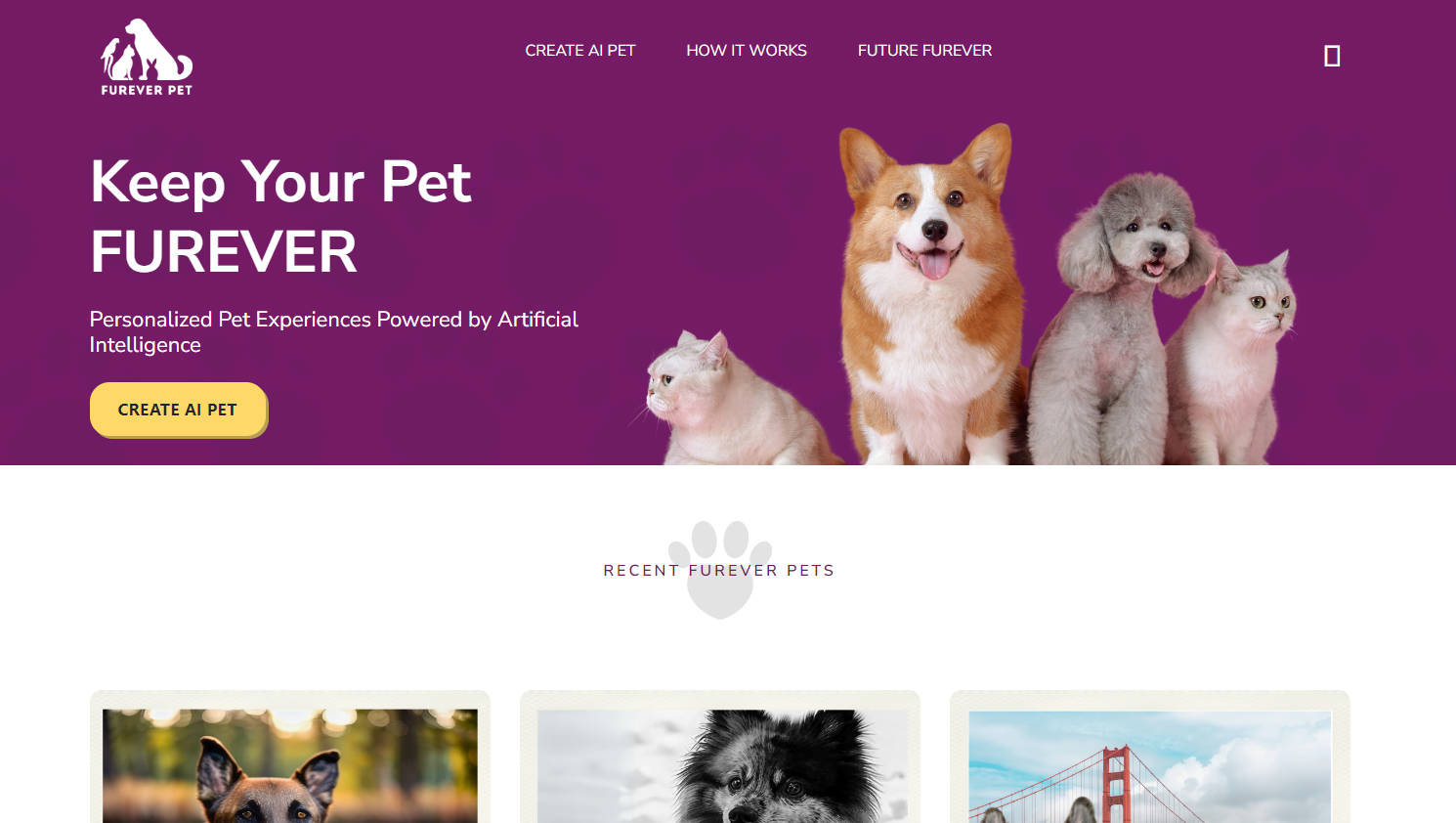 FUREVER PET gallery image