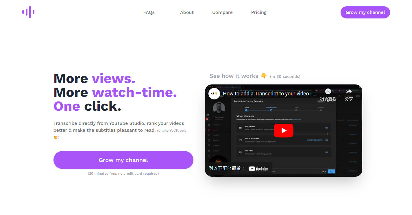 TubeTranscripts gallery image