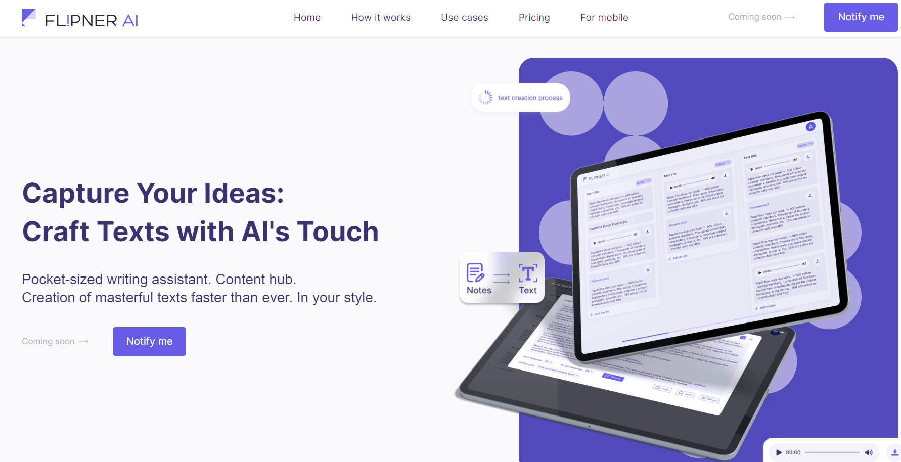 Flipner AI gallery image