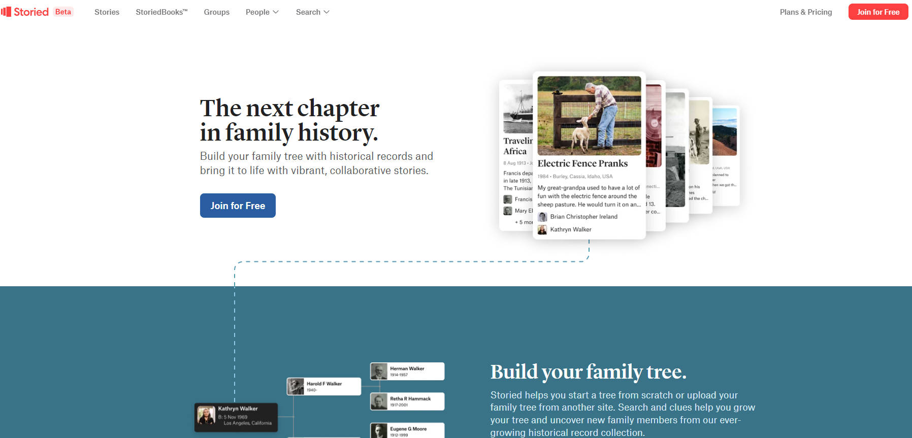 Storied gallery image