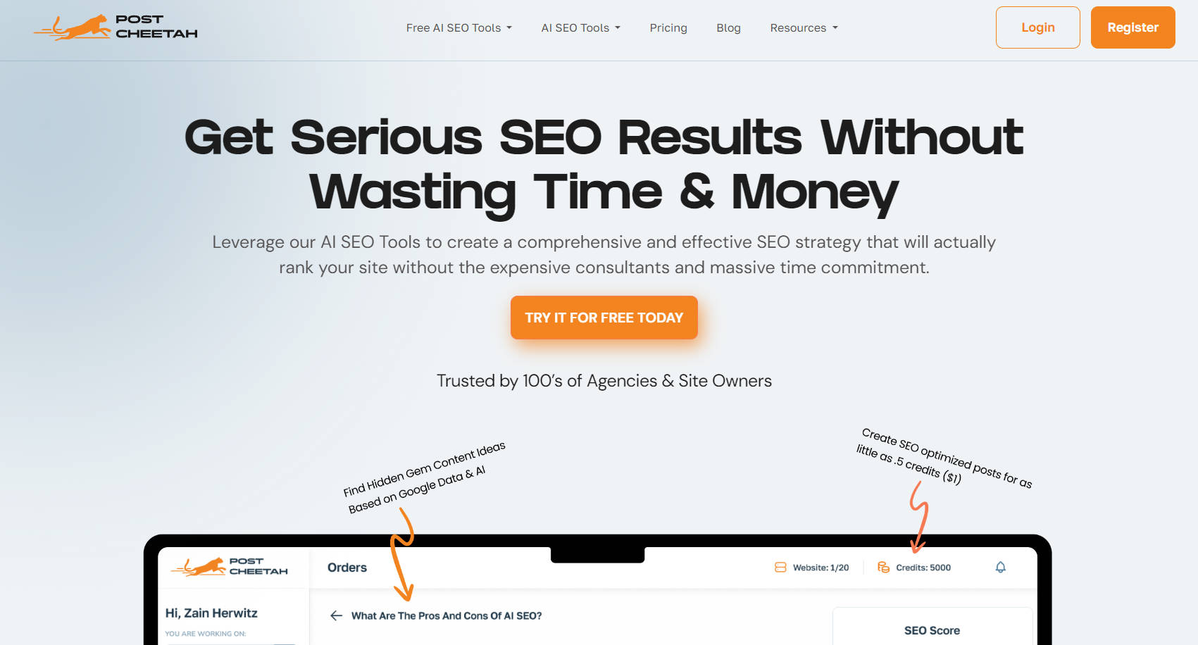 Post Cheetah gallery image