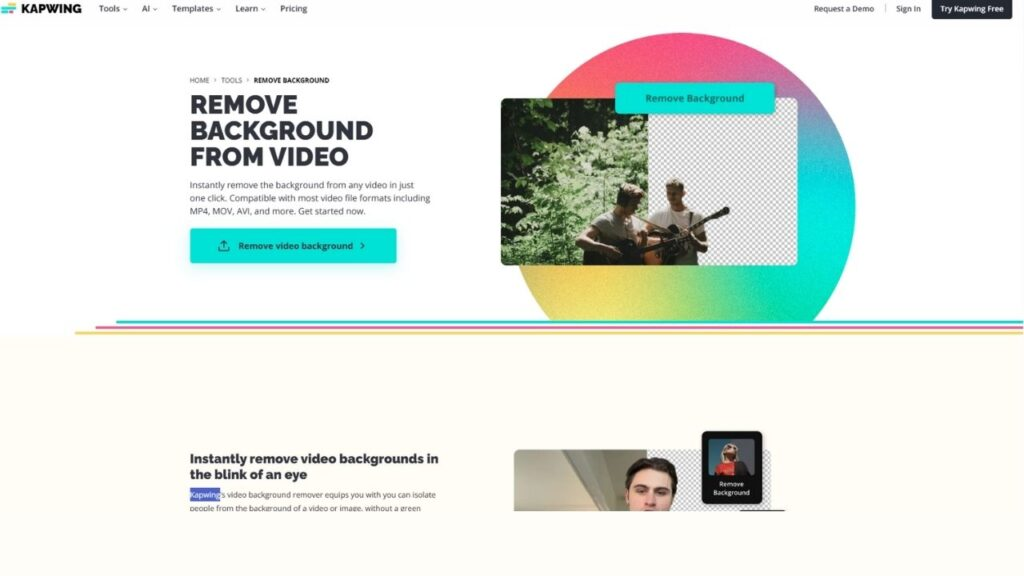 Elevating Video Production: Best 5 AI Video Background Remover for 2024
