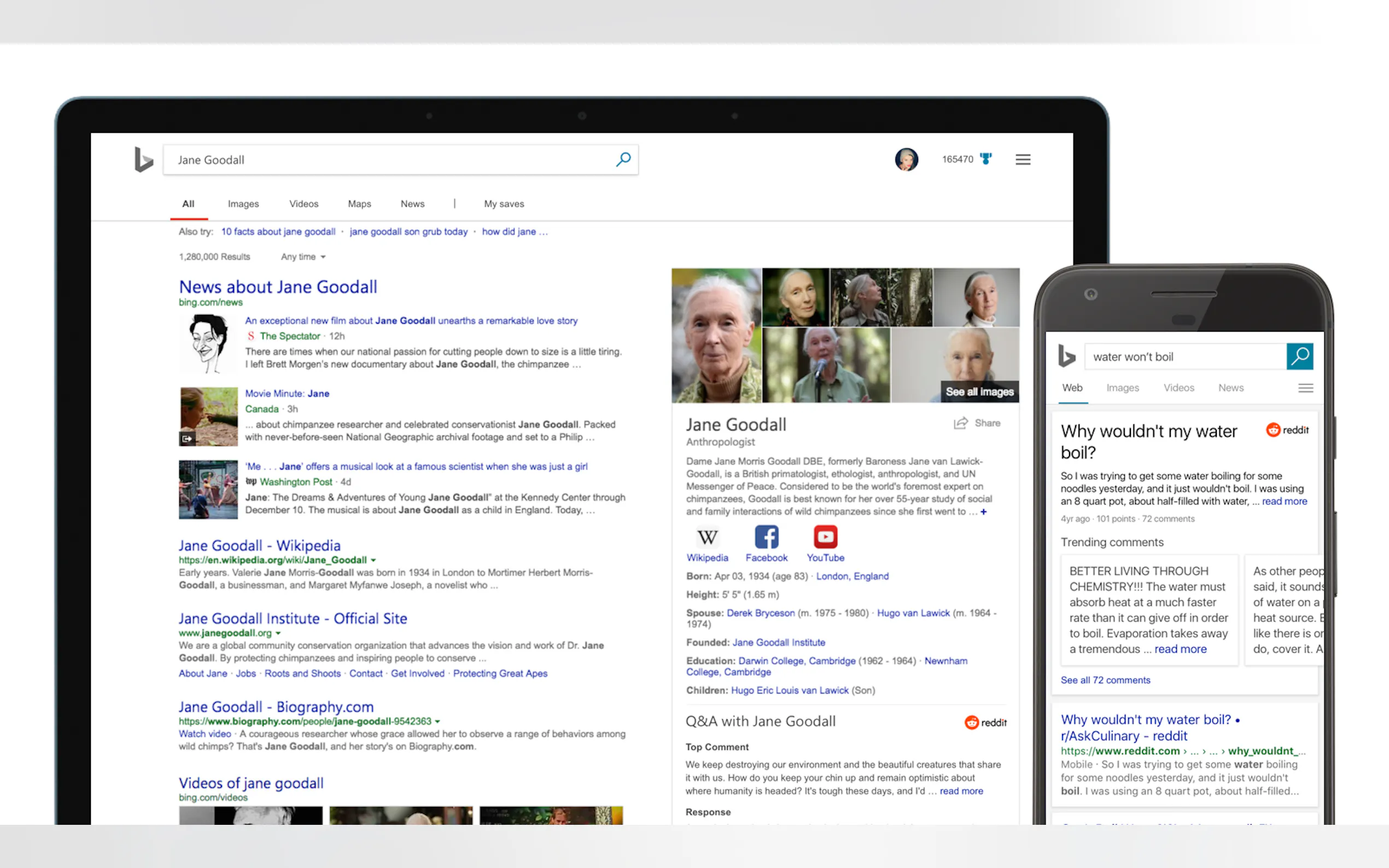 Bing Search + ChatGPT gallery image
