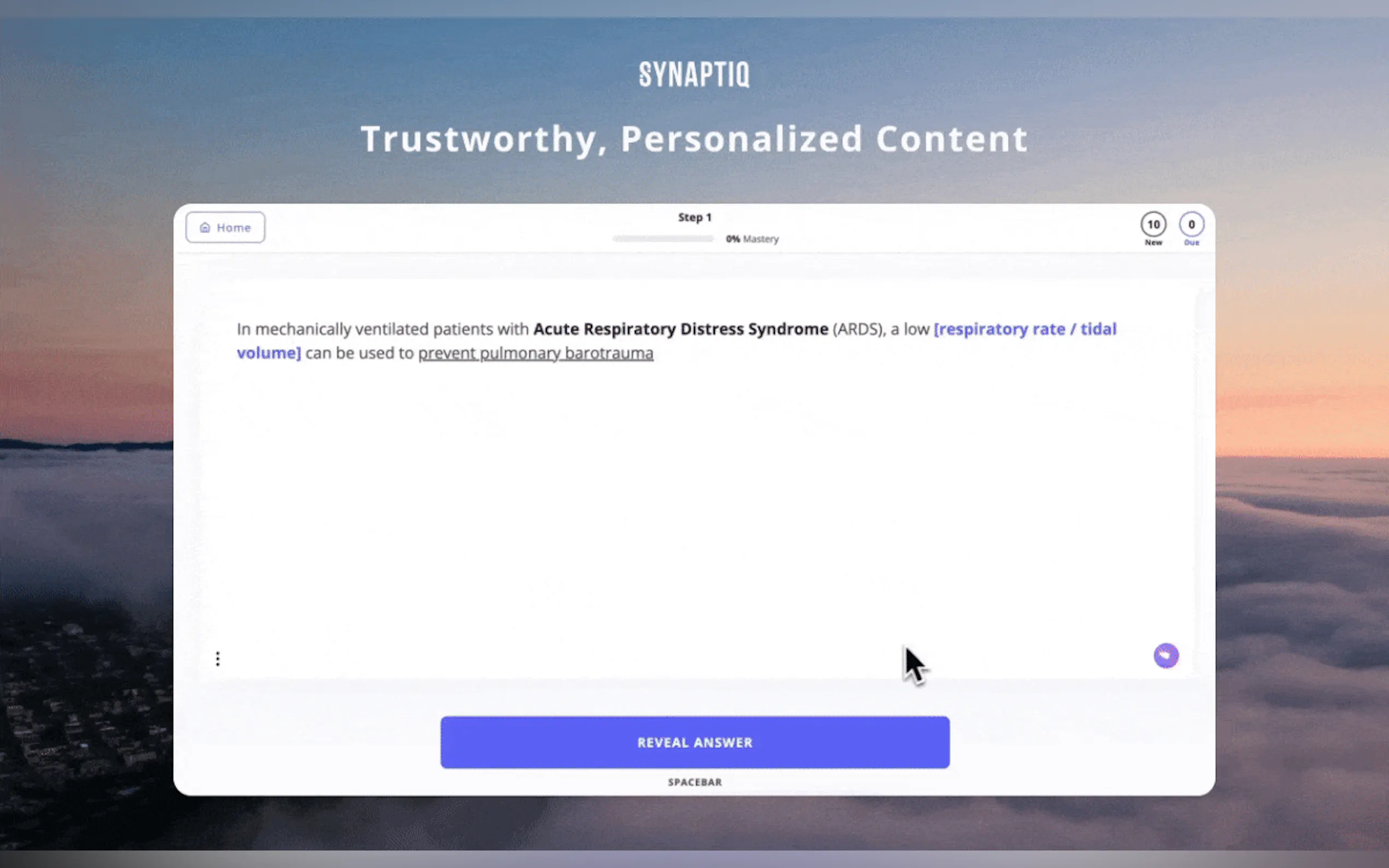 Synaptiq gallery image