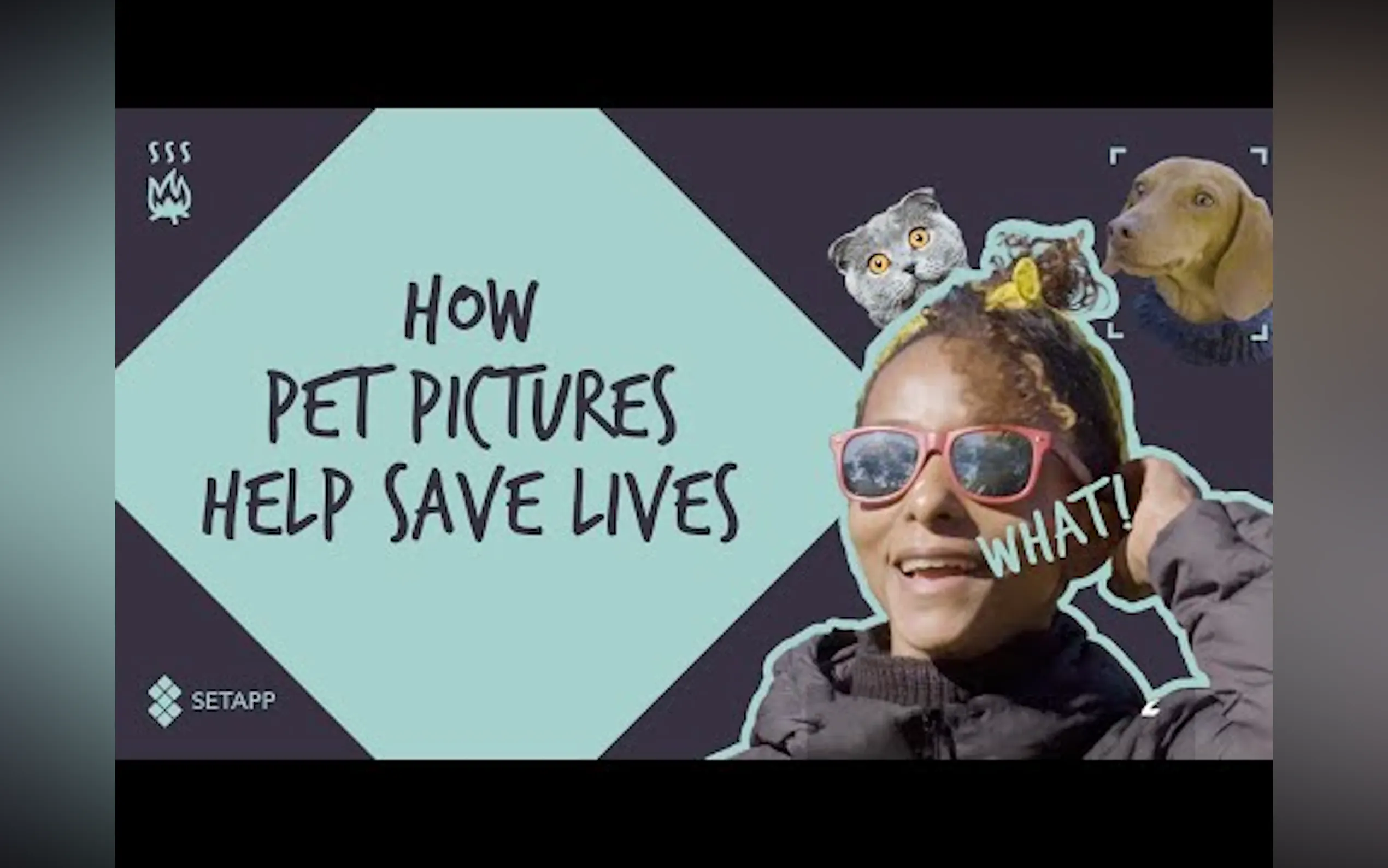 Setapp gallery image