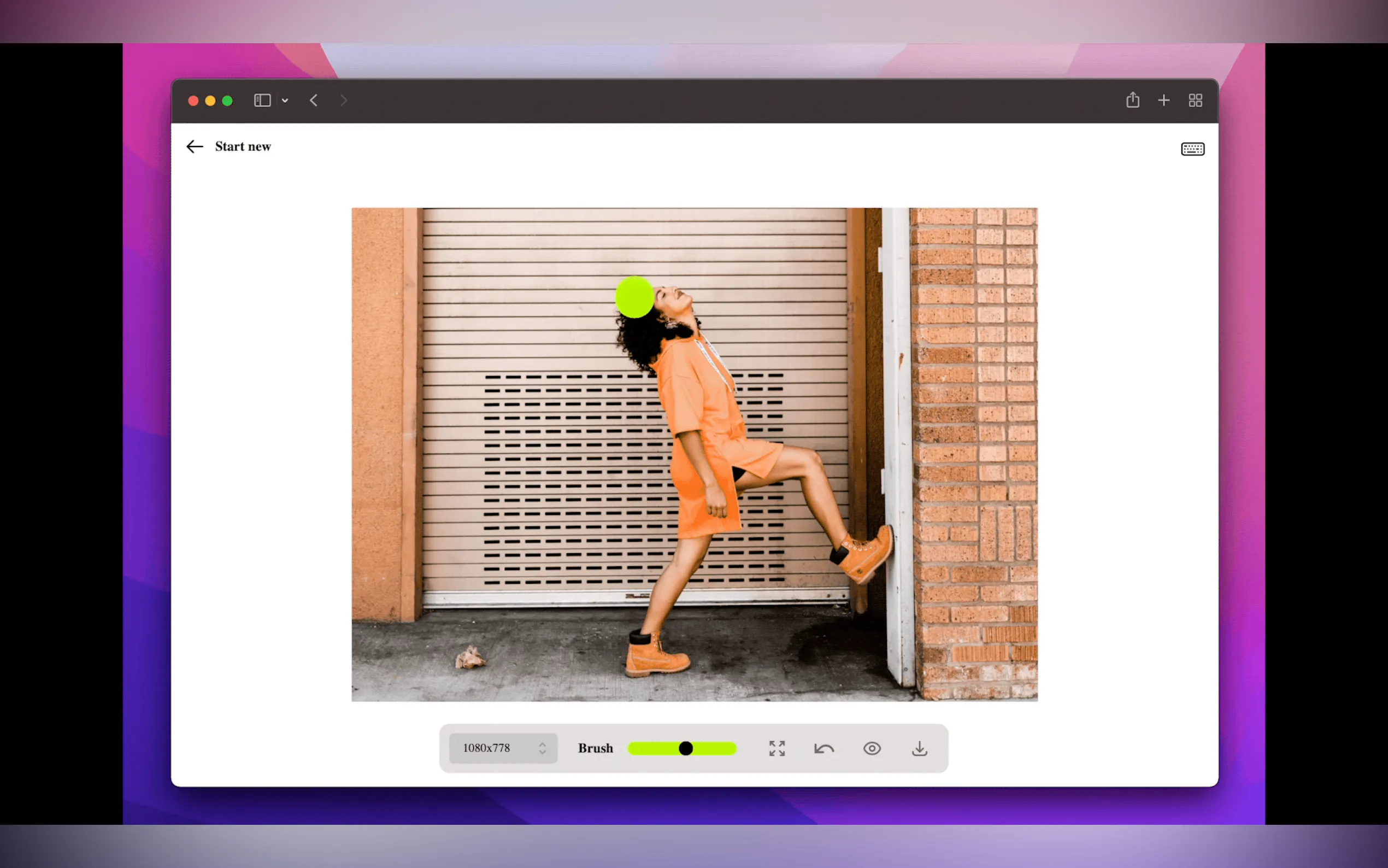 Lama Cleaner gallery image