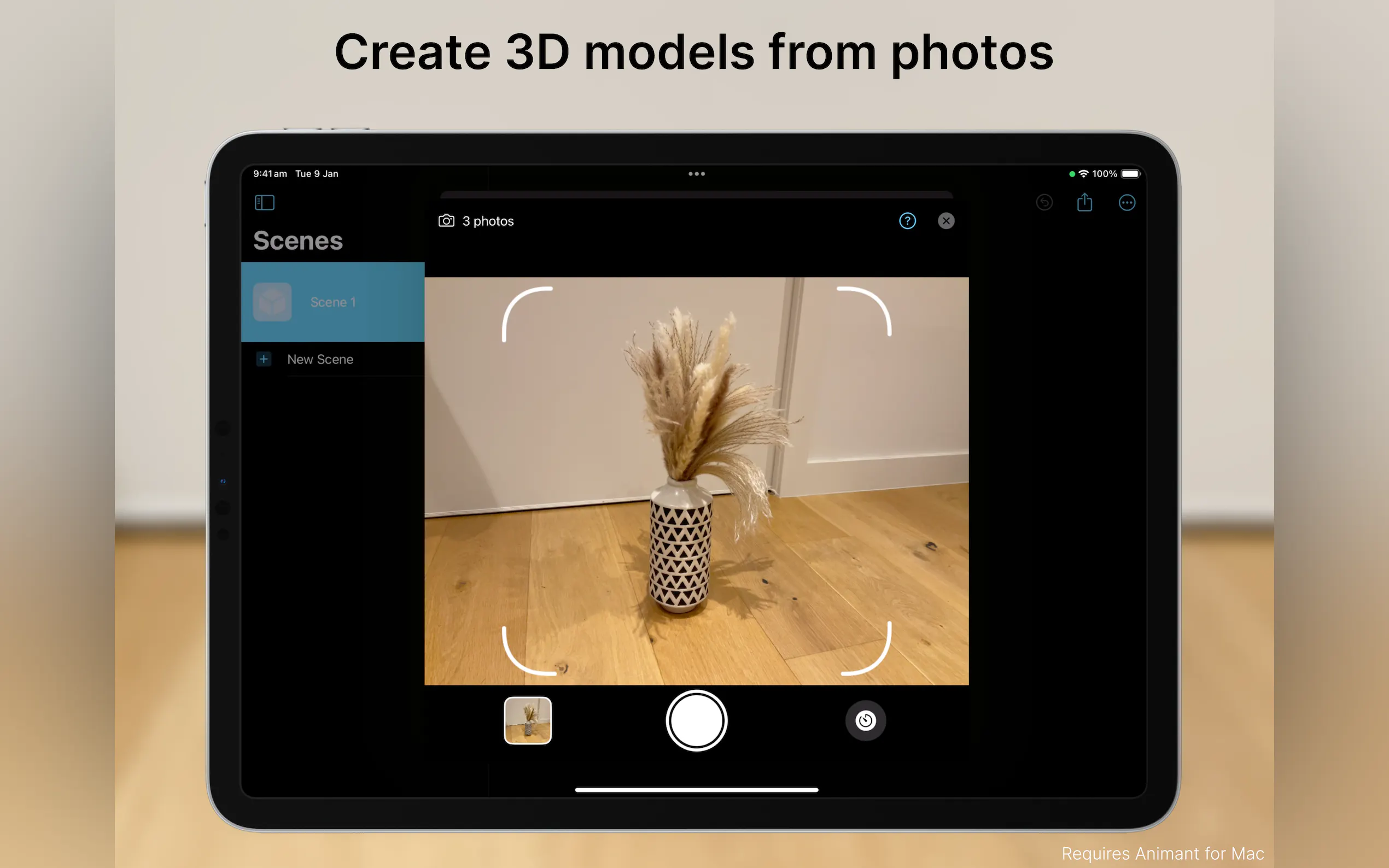 Animant gallery image