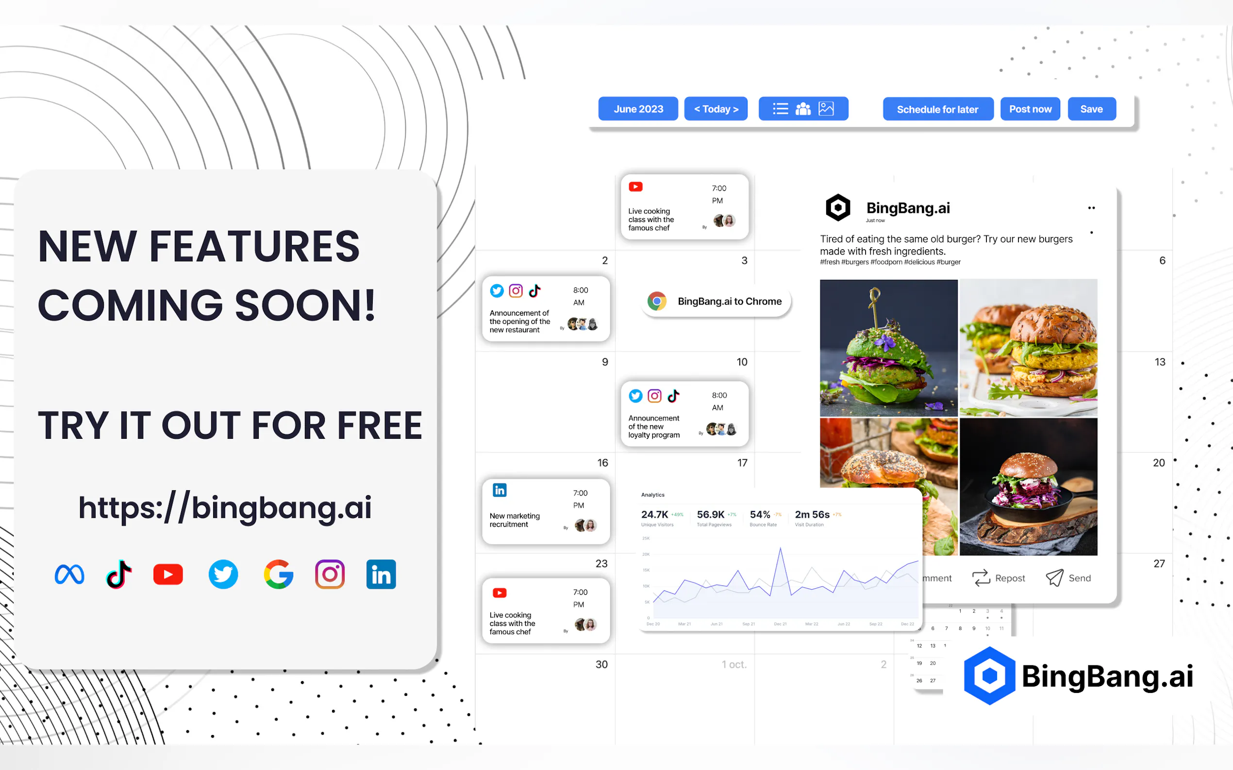 BingBang.ai gallery image