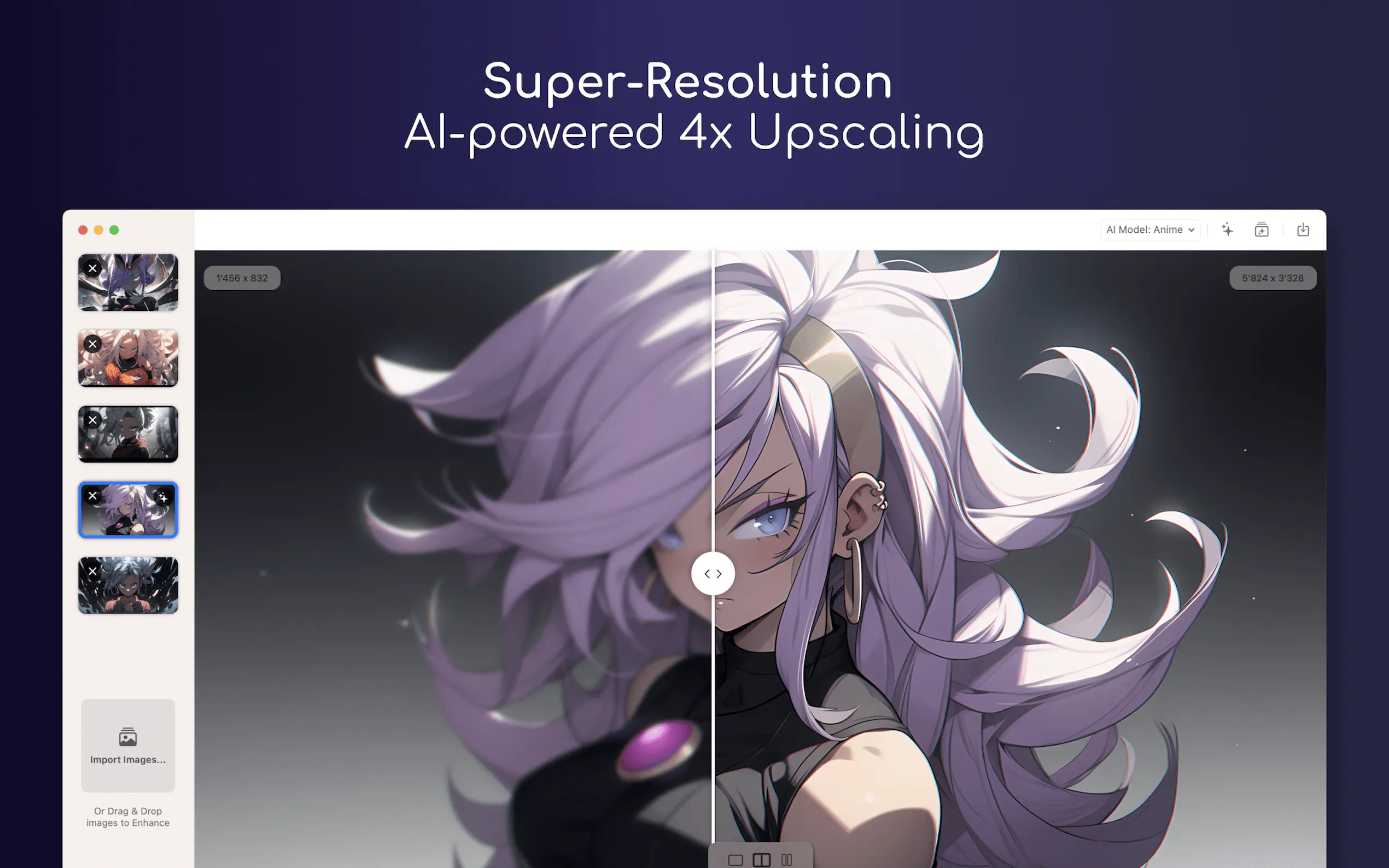 Pictura gallery image