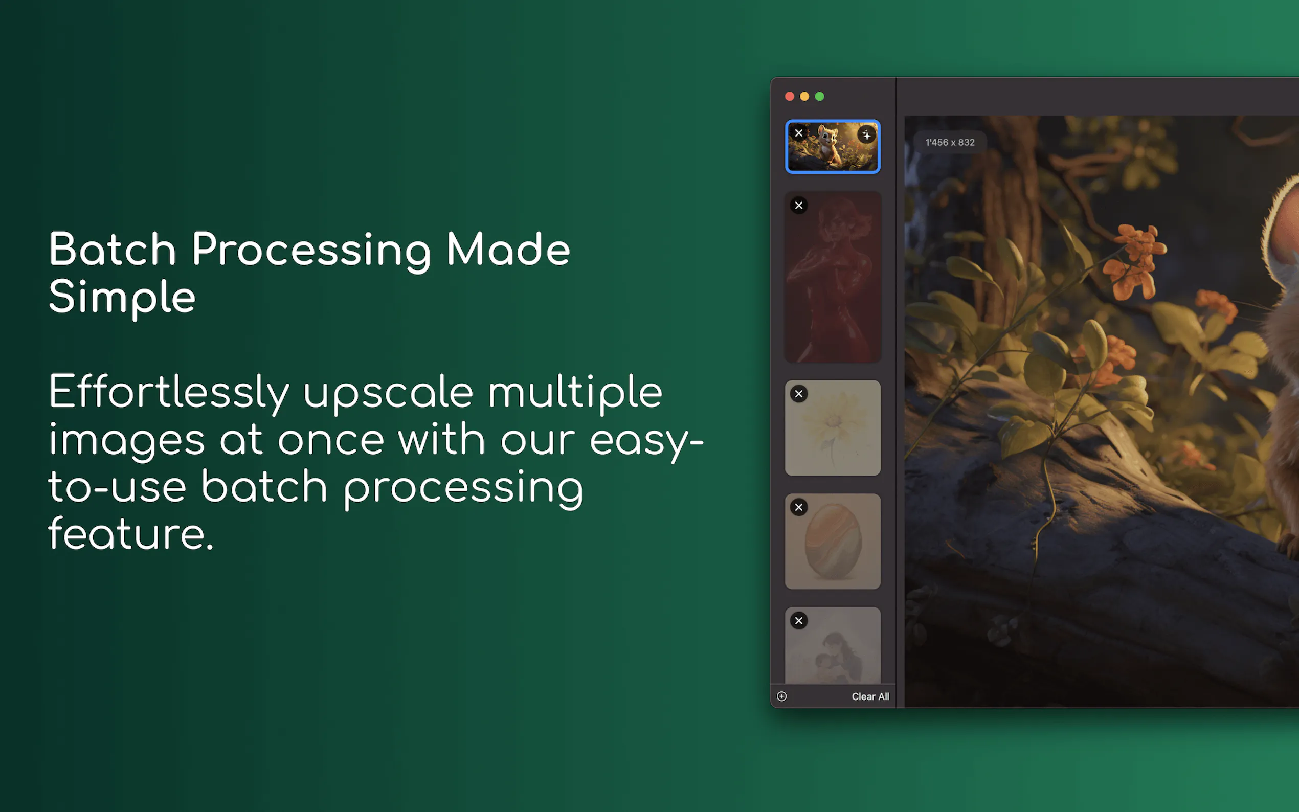 Pictura gallery image