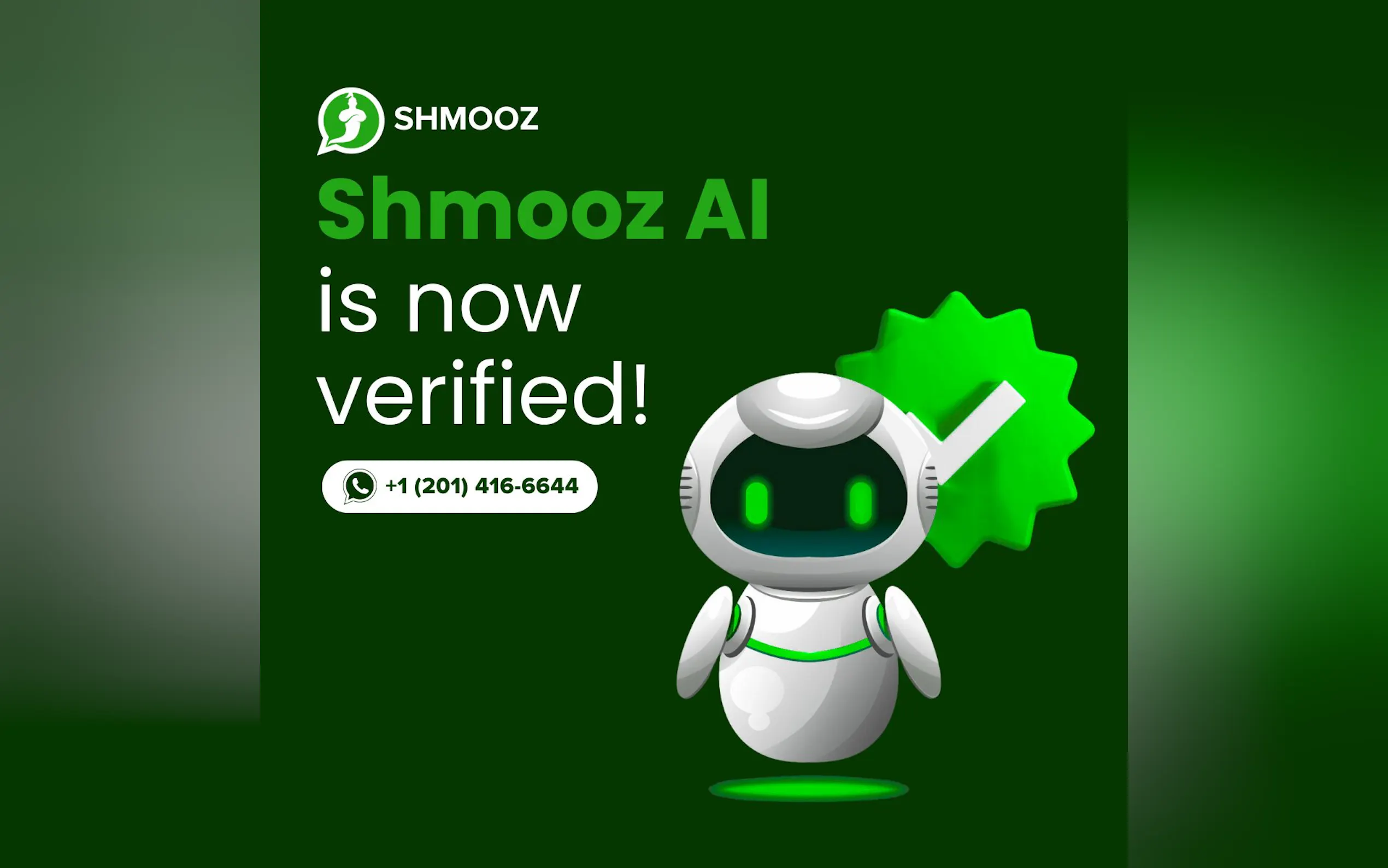 Shmooz.ai gallery image