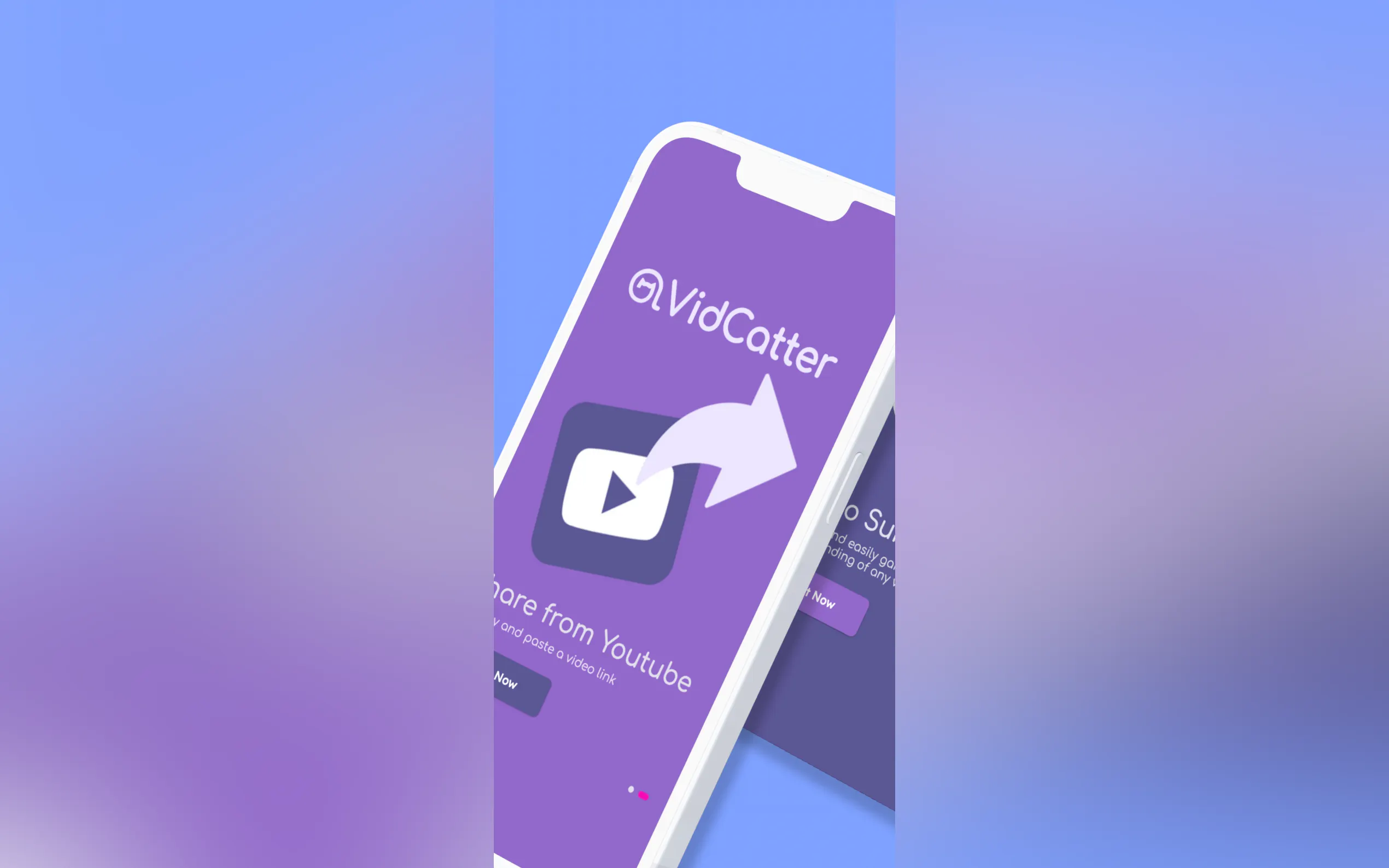 VidCatter gallery image