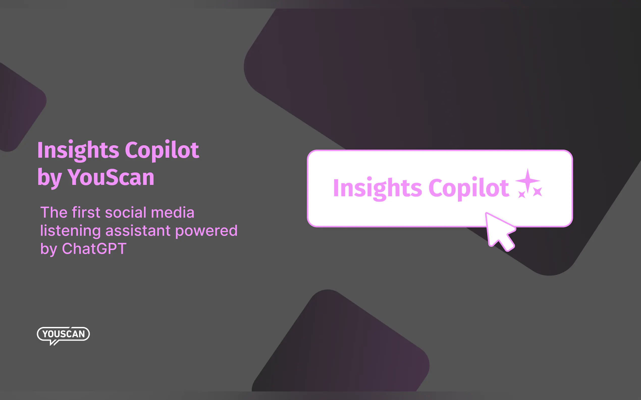 Insights Copilot by YouScan gallery image