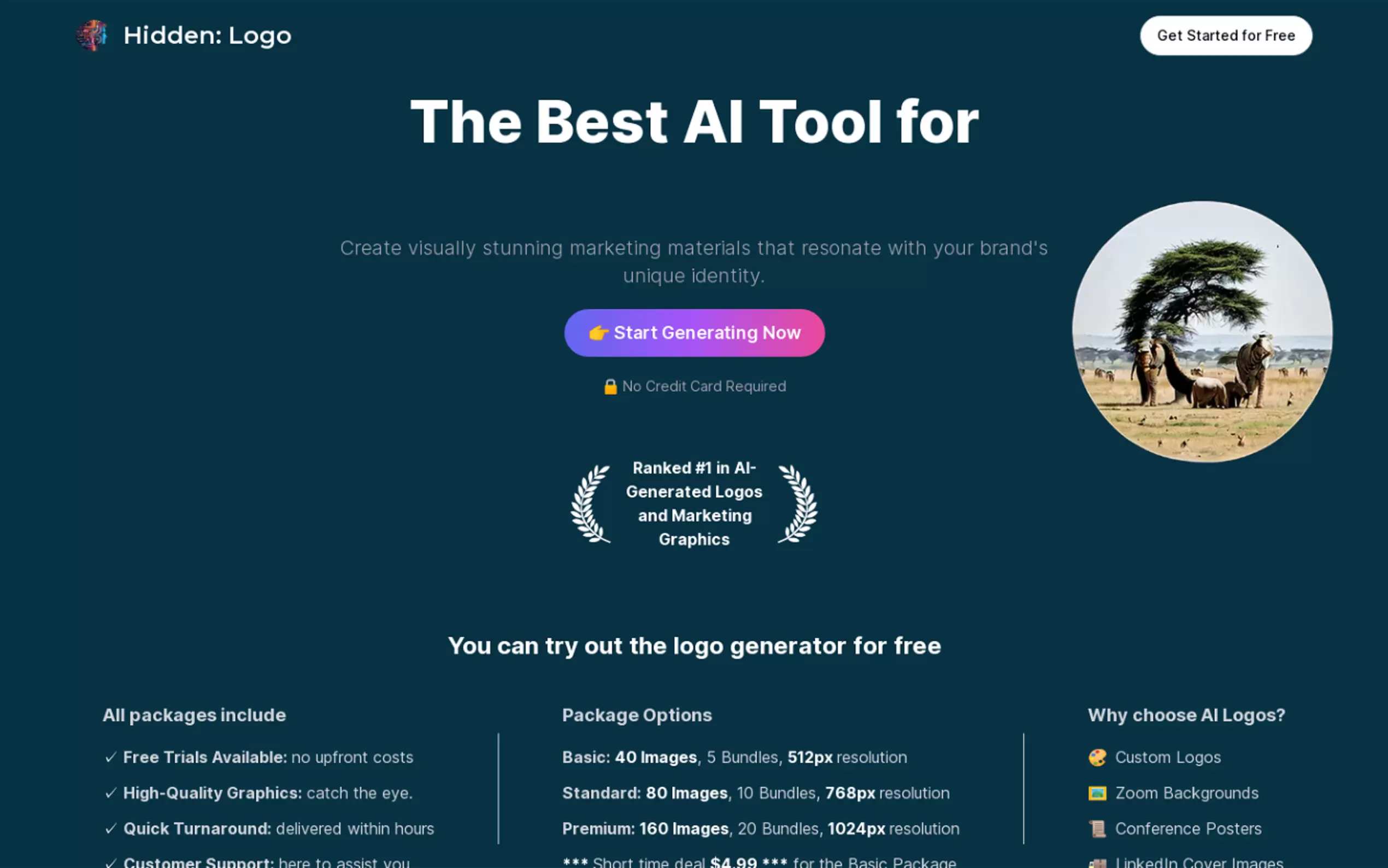 Hidden Logo gallery image