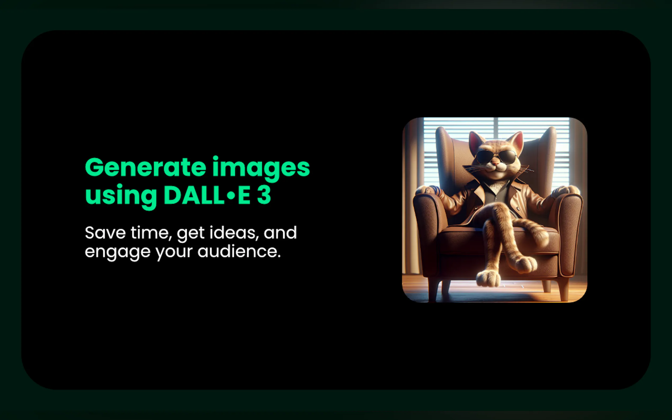 Salvador gallery image