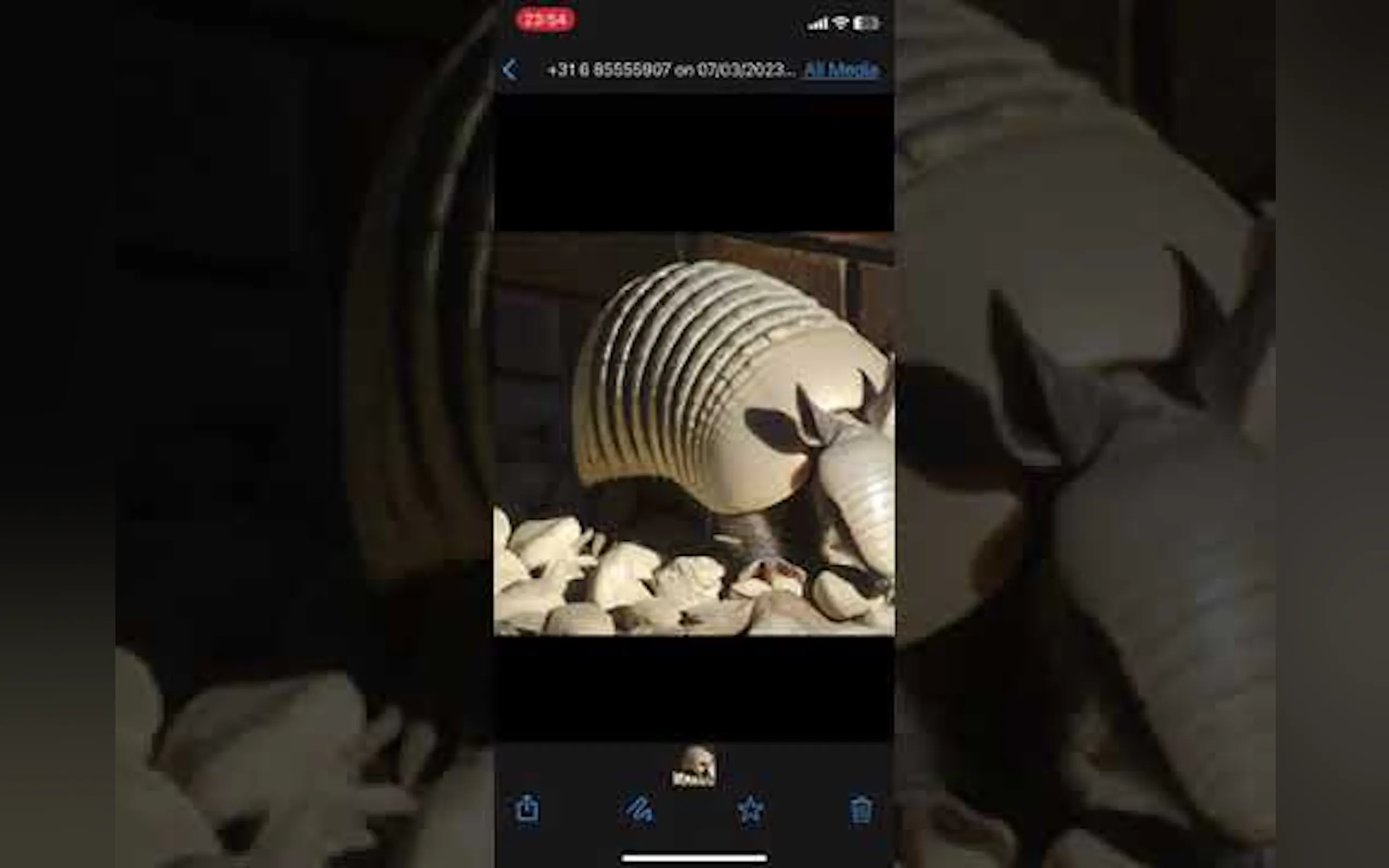KnowBuddy gallery image