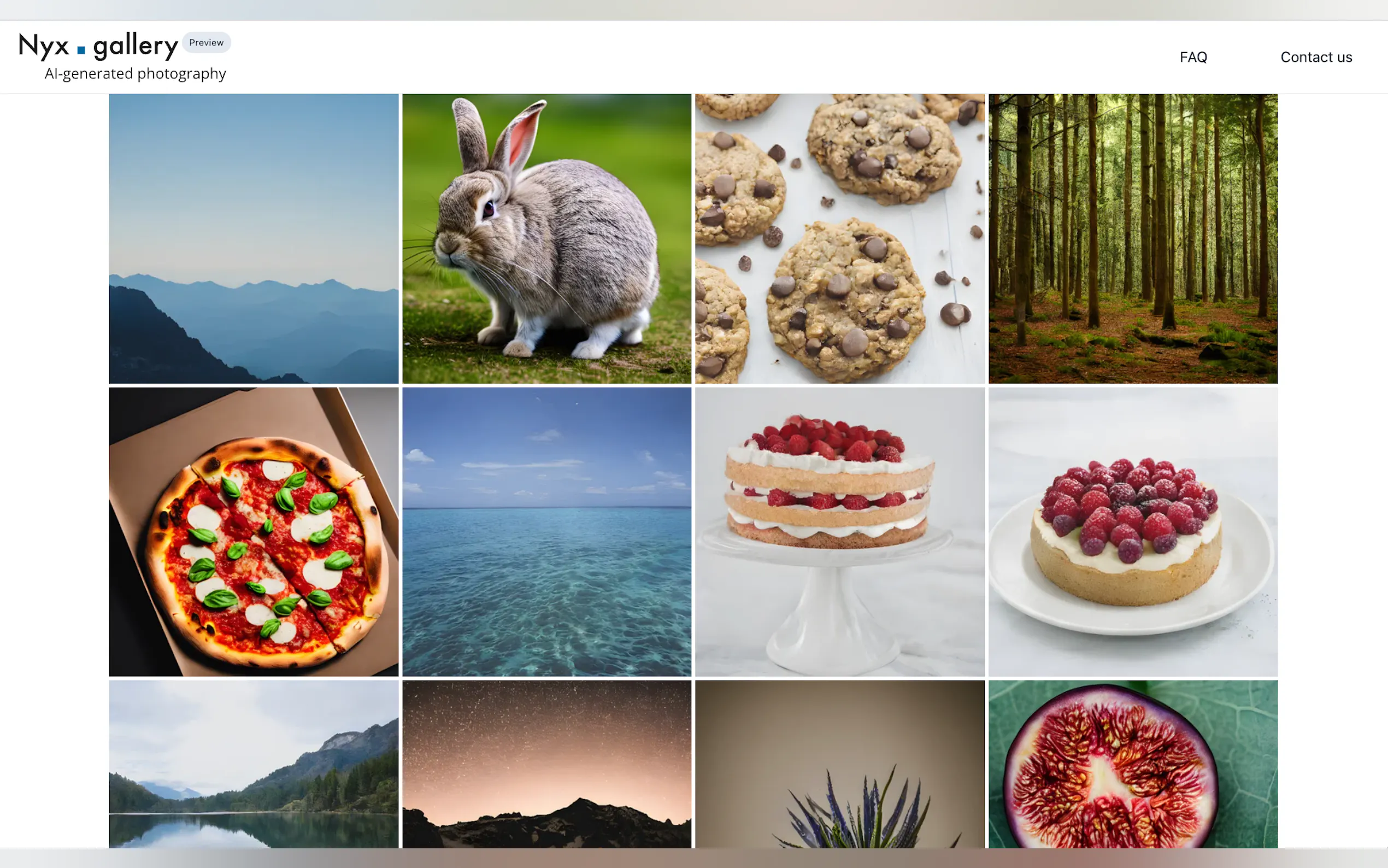 Nyx Gallery gallery image