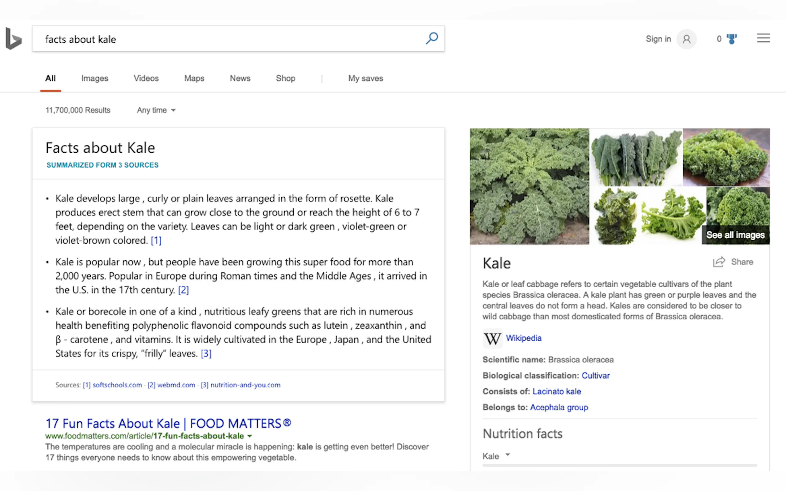 Bing Search + ChatGPT gallery image