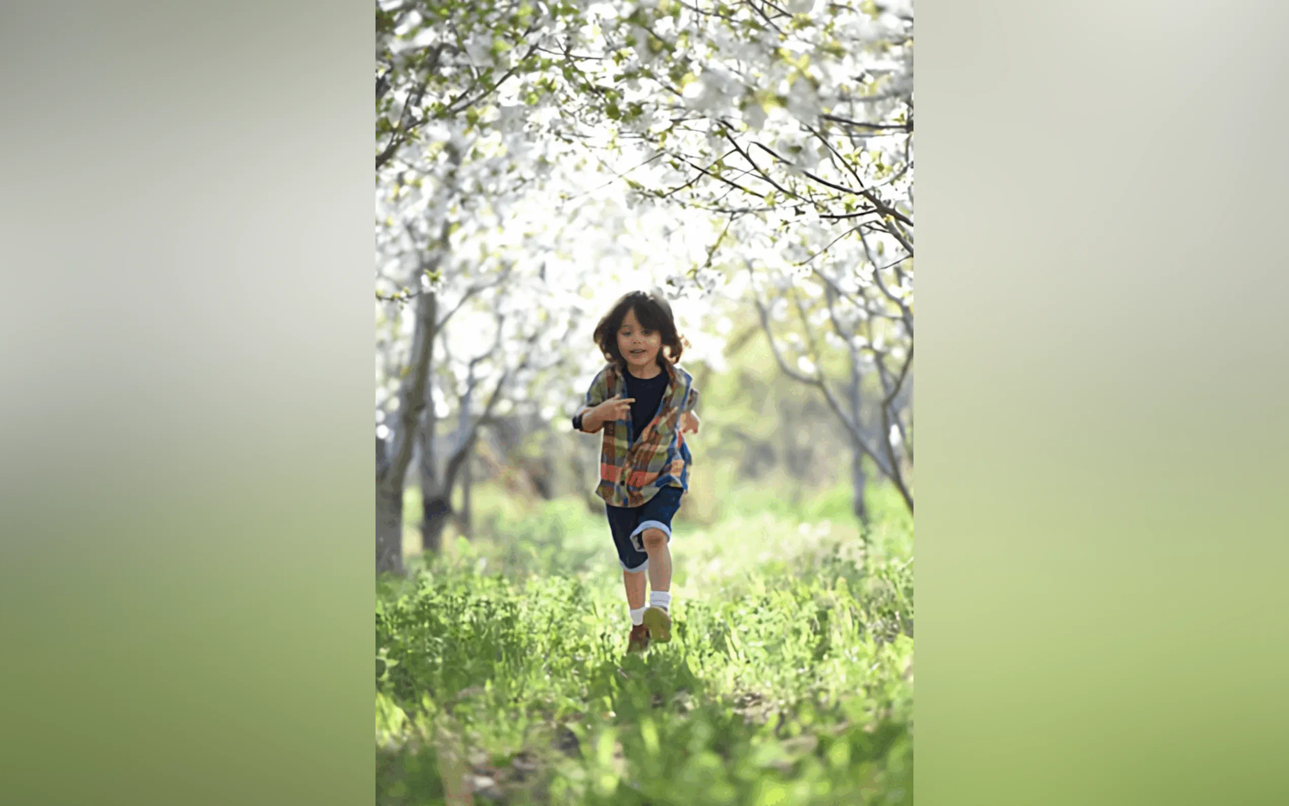 Image Sharpen gallery image