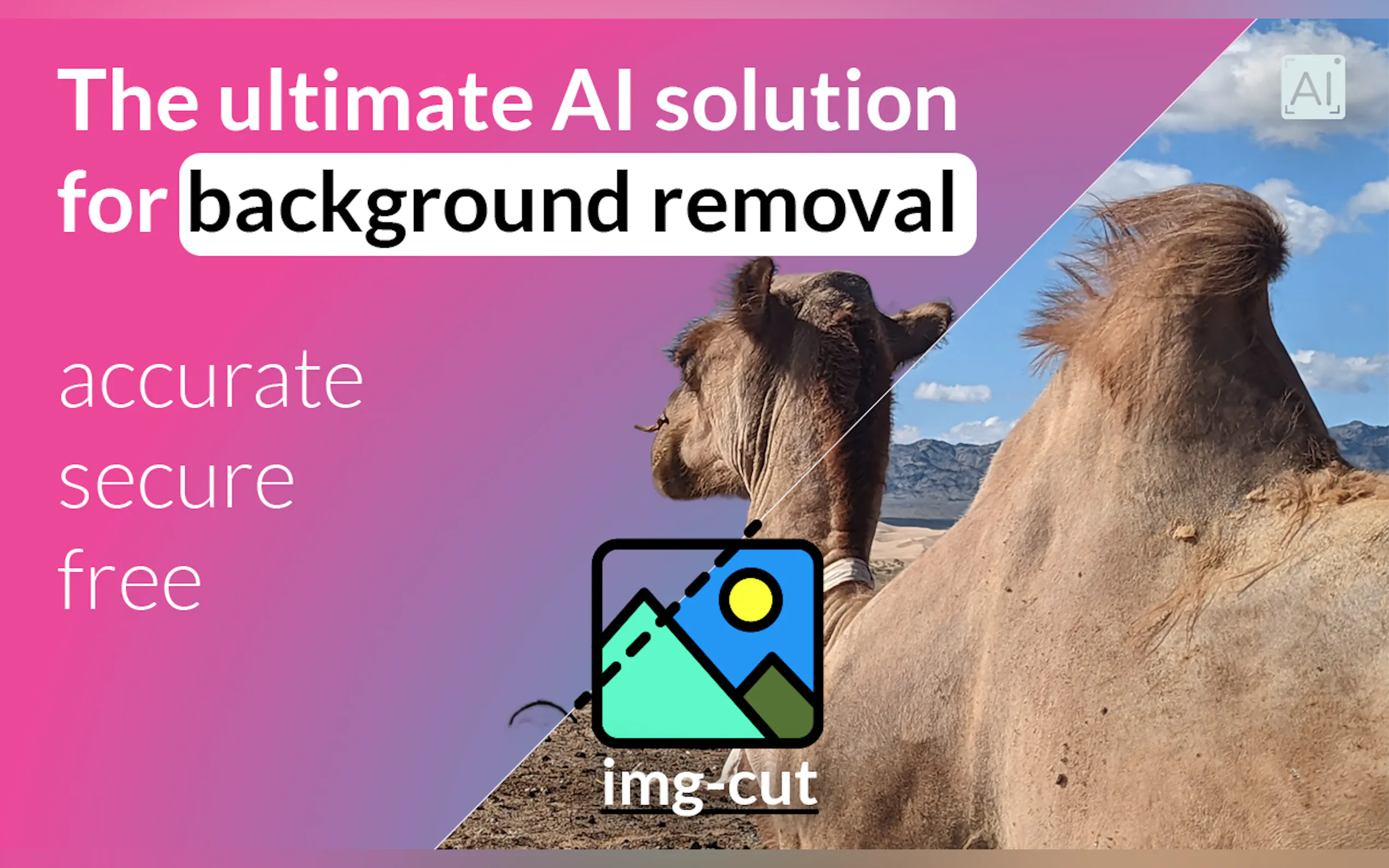 Img-Cut gallery image