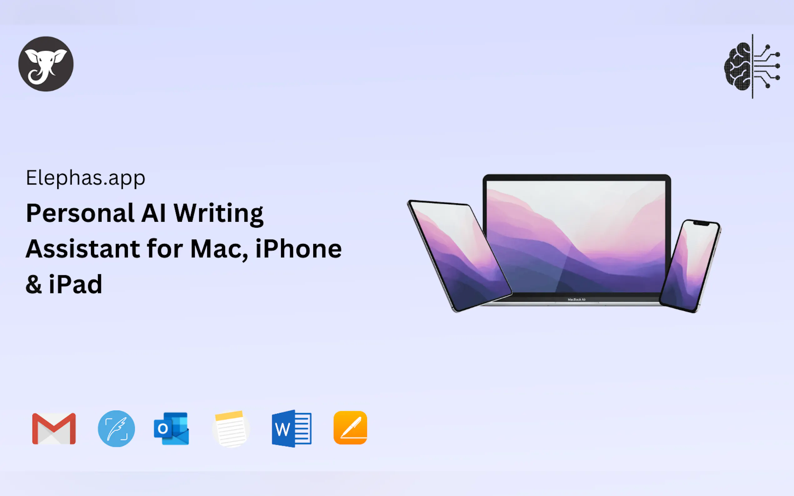 Elephas gallery image