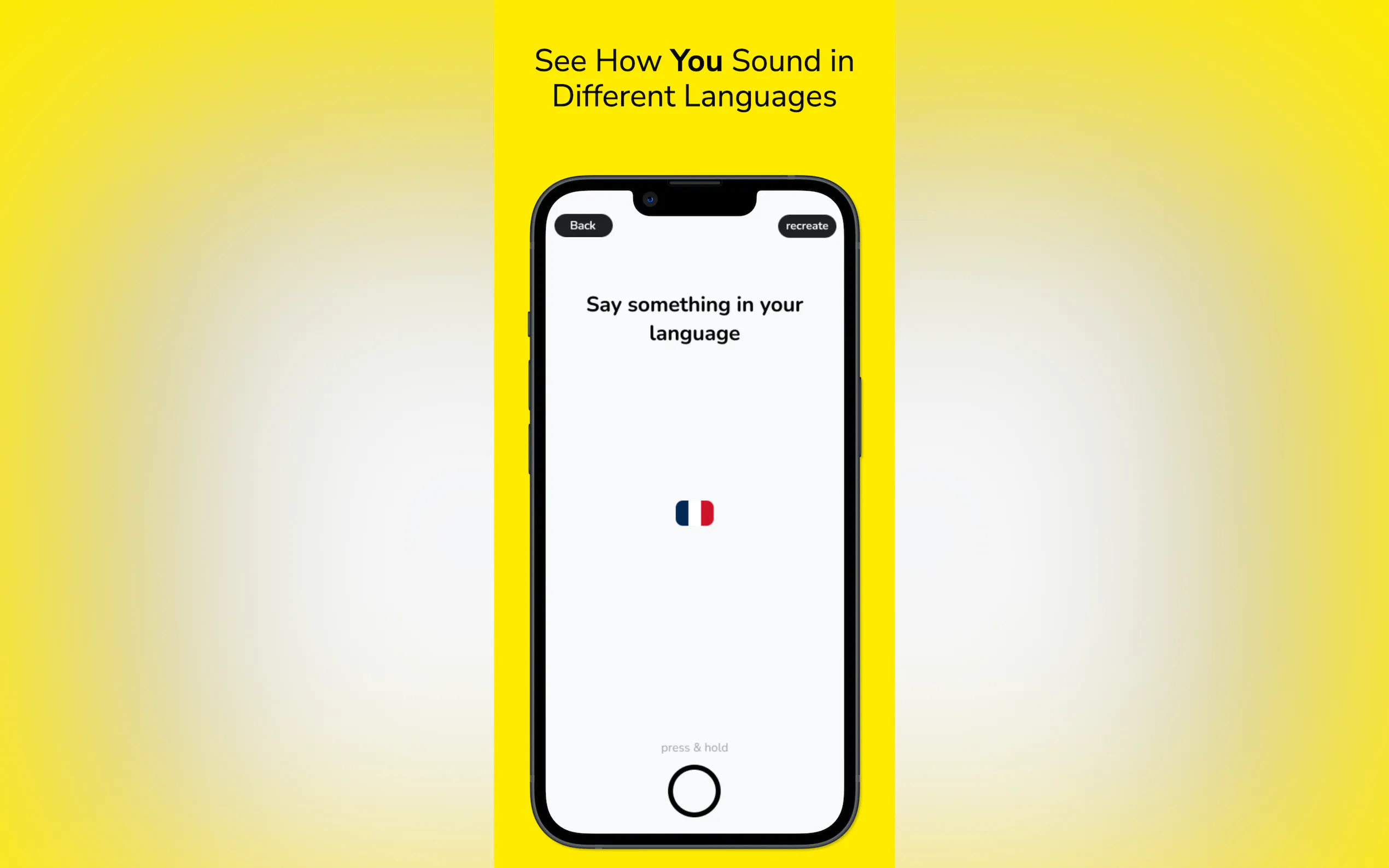 Articula gallery image