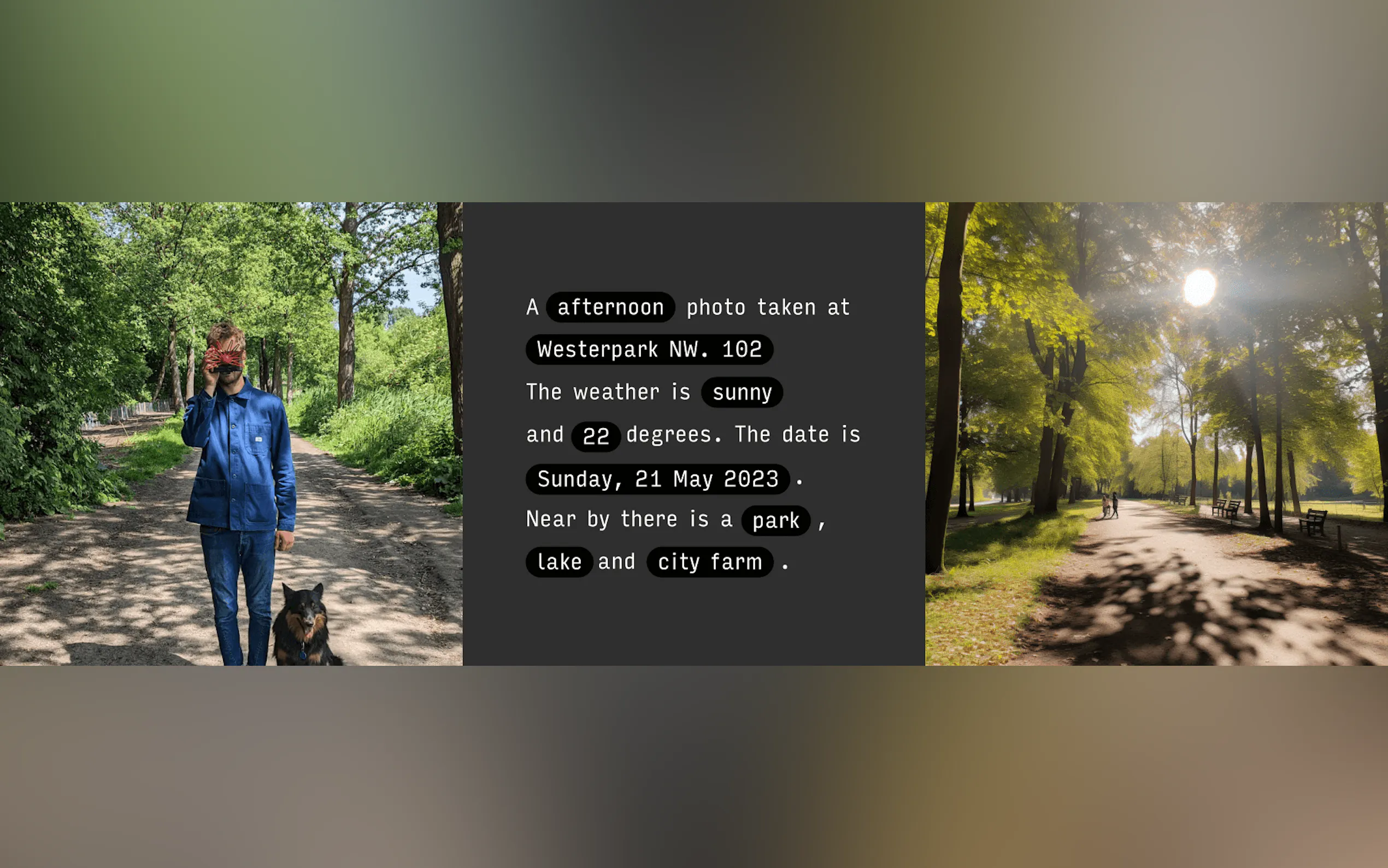 Paragraphica gallery image