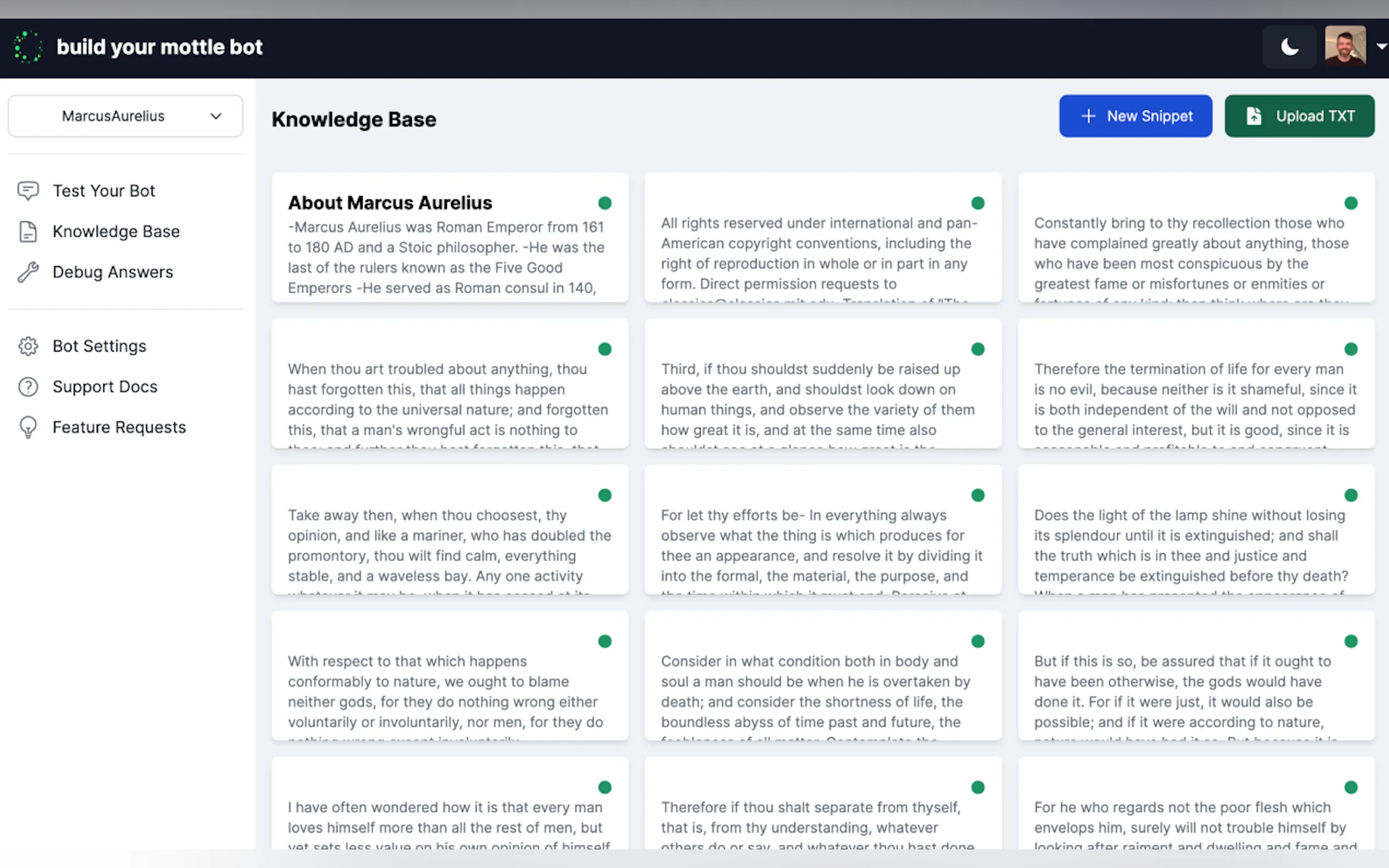 Mottle Bot gallery image