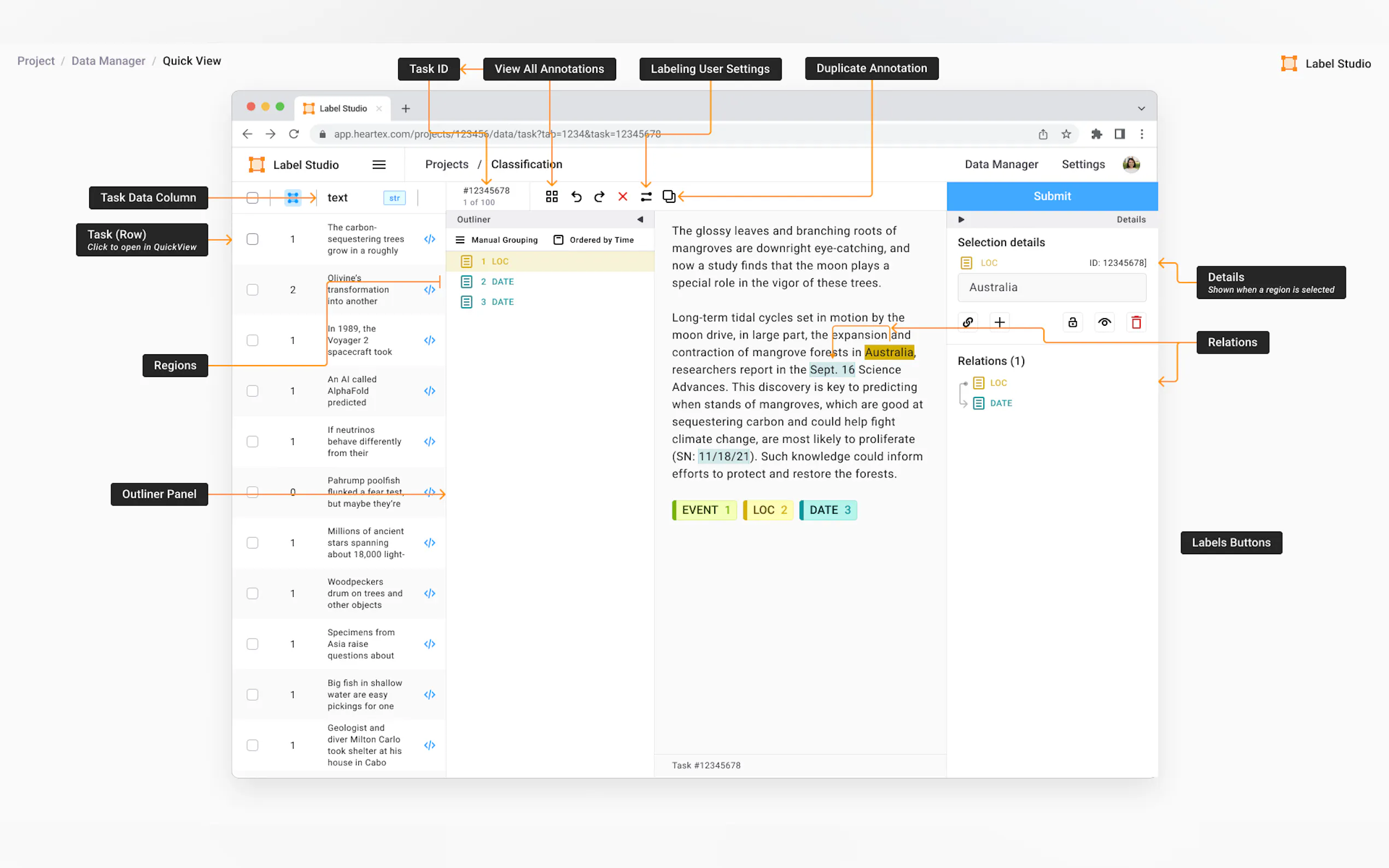 Label Studio gallery image