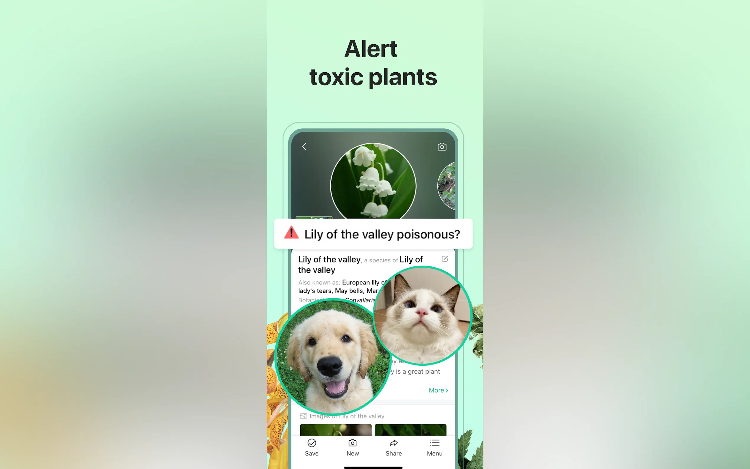 PictureThis gallery image