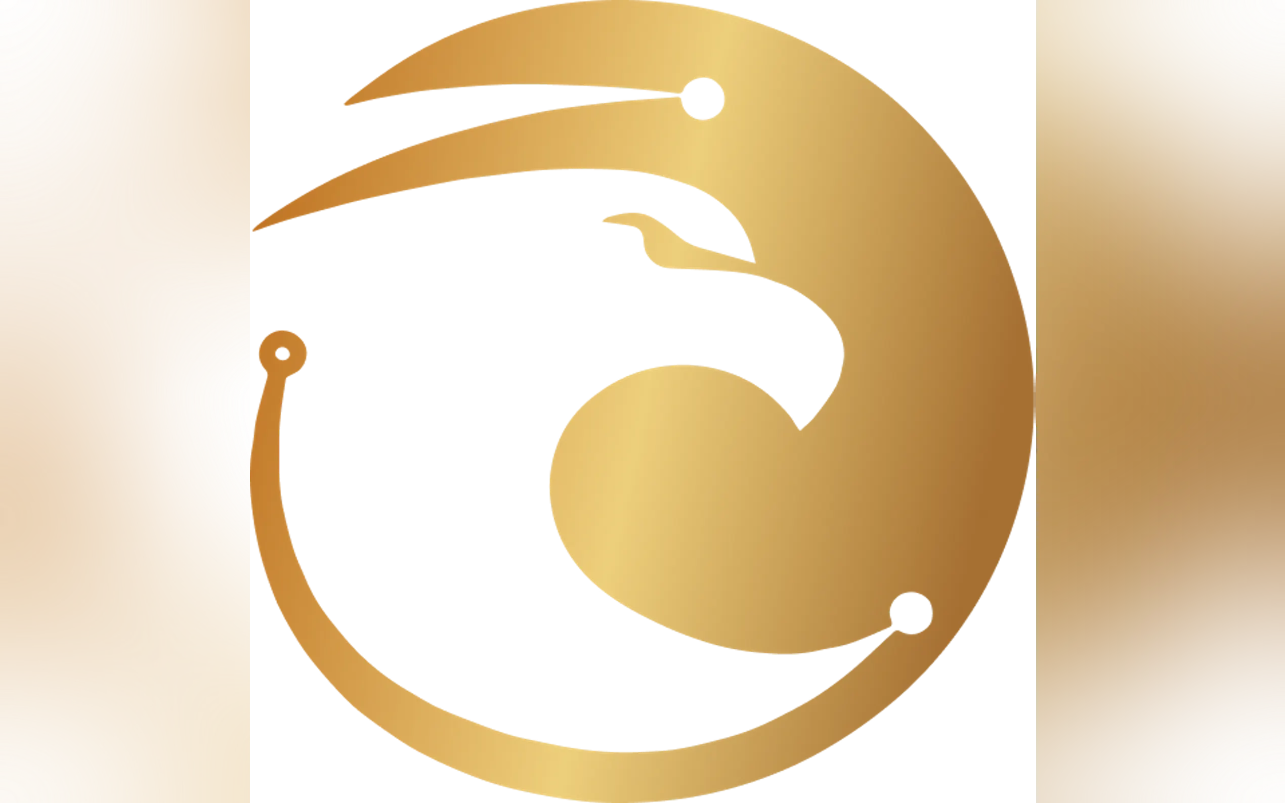 Eagle Bot gallery image