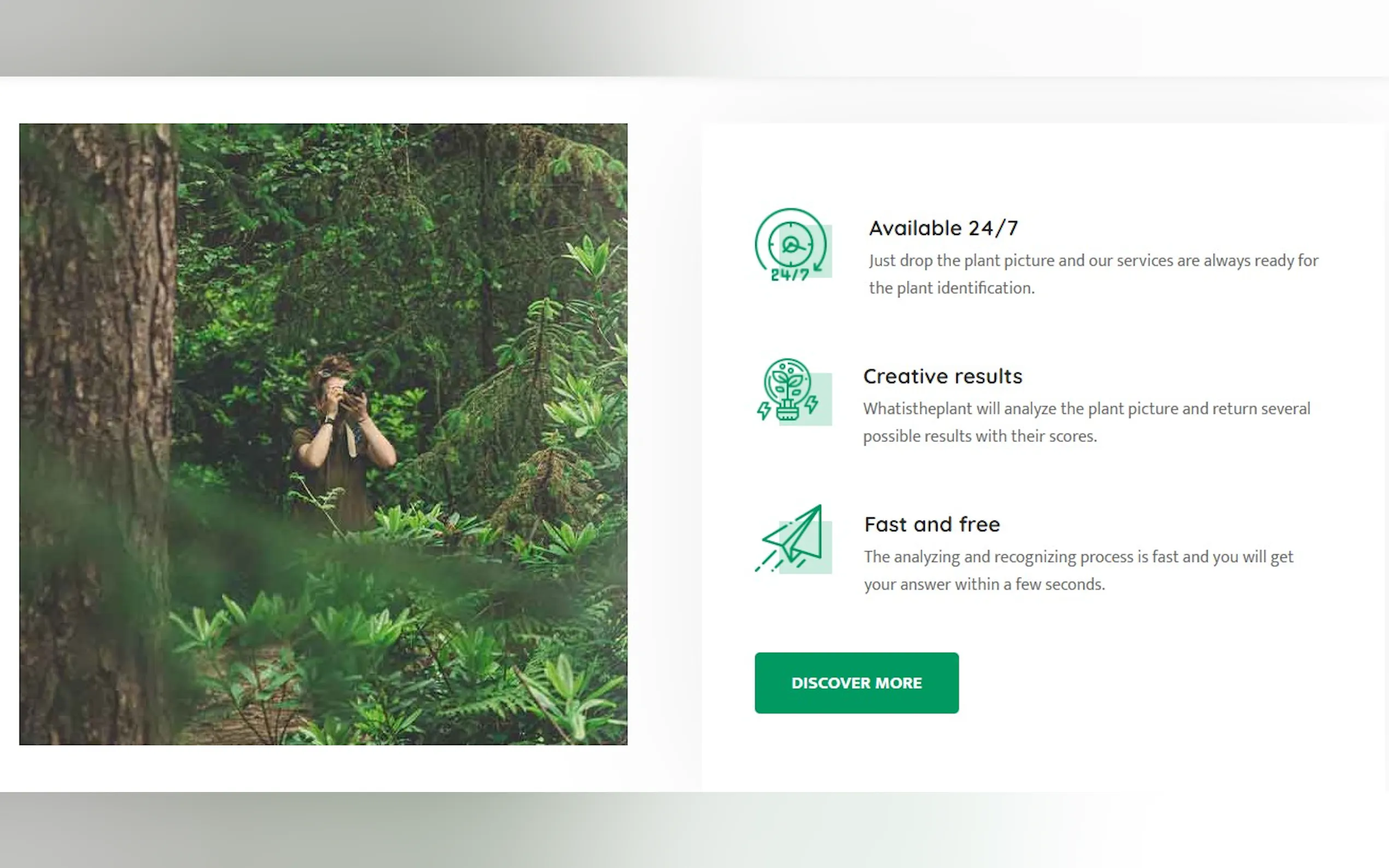 Whatistheplant gallery image